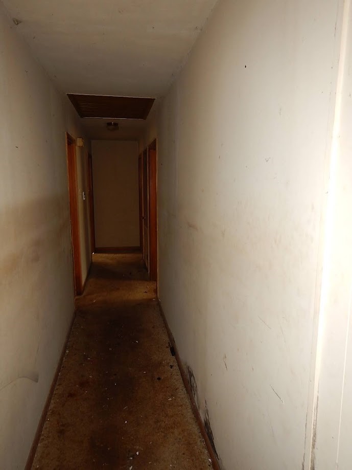 3960 Hale Street Property Photo 4