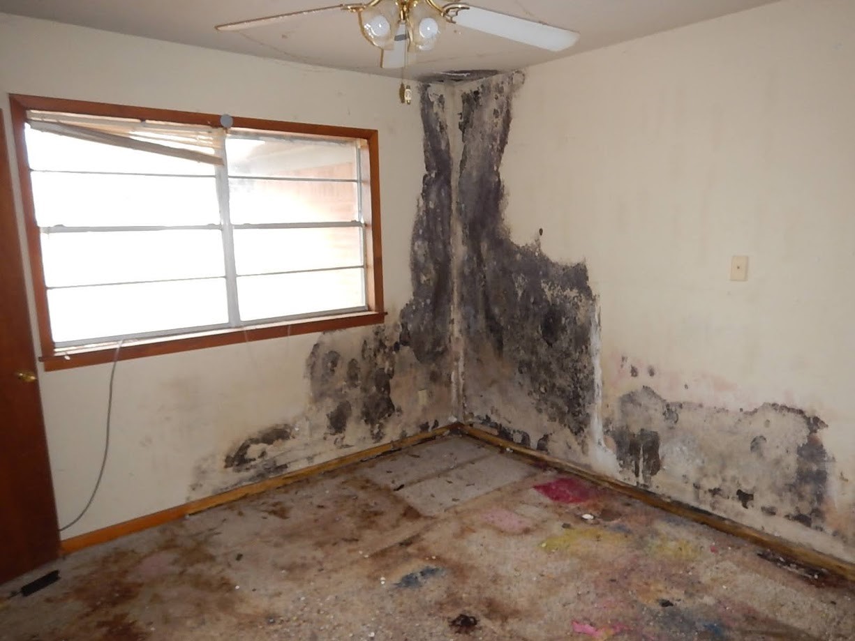3960 Hale Street Property Photo 5
