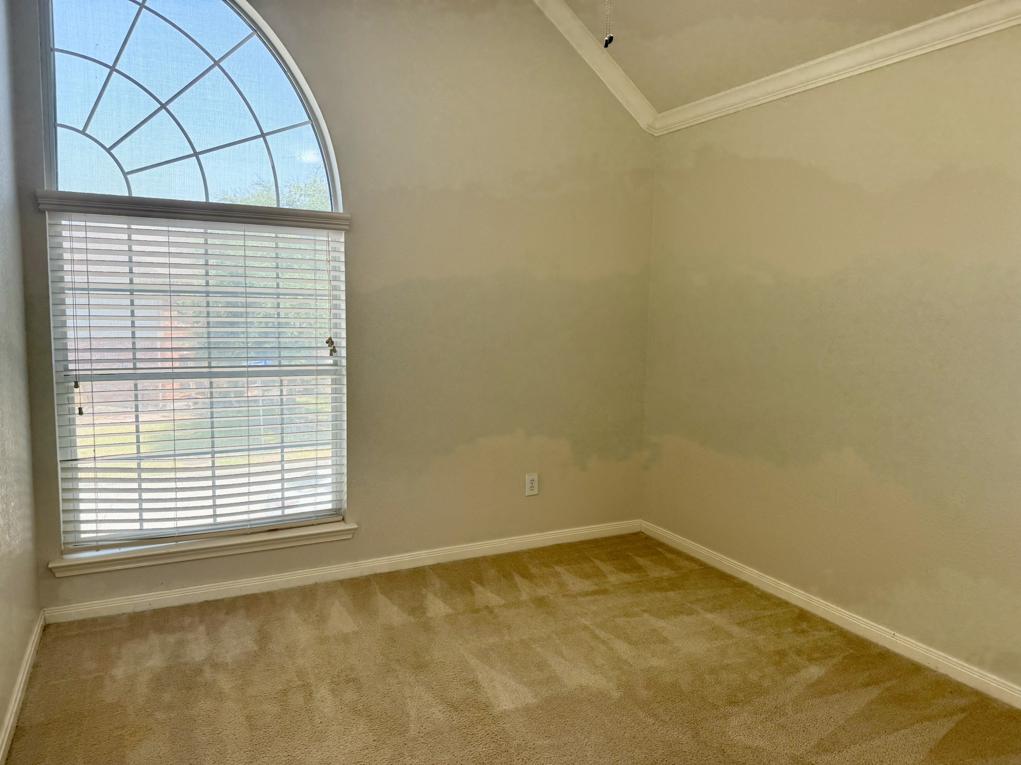 202 Almond Drive Property Photo 10