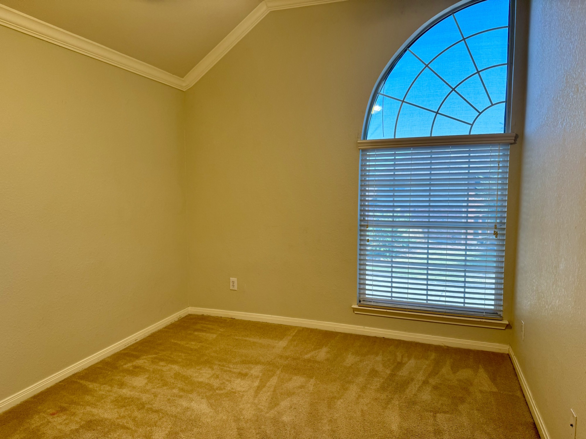 202 Almond Drive Property Photo 11