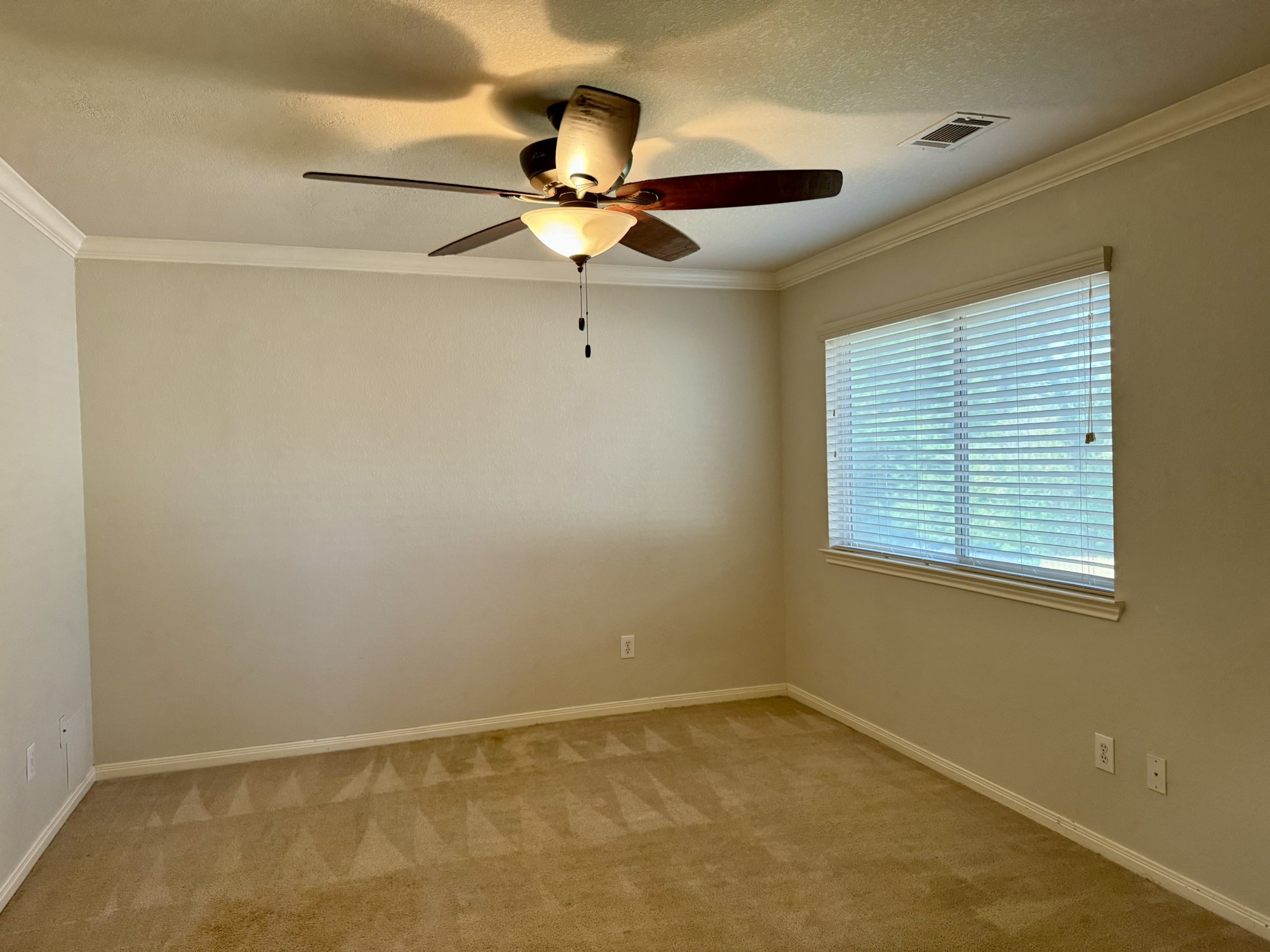 202 Almond Drive Property Photo 14