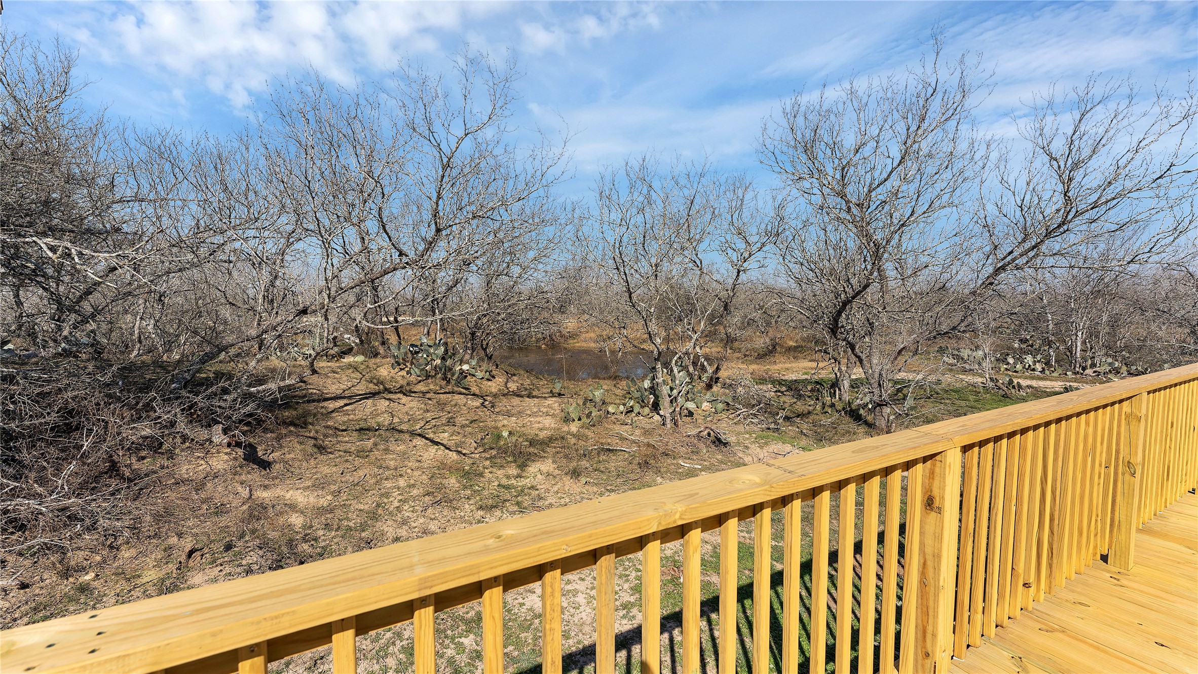 154 Cowboy Property Photo 32