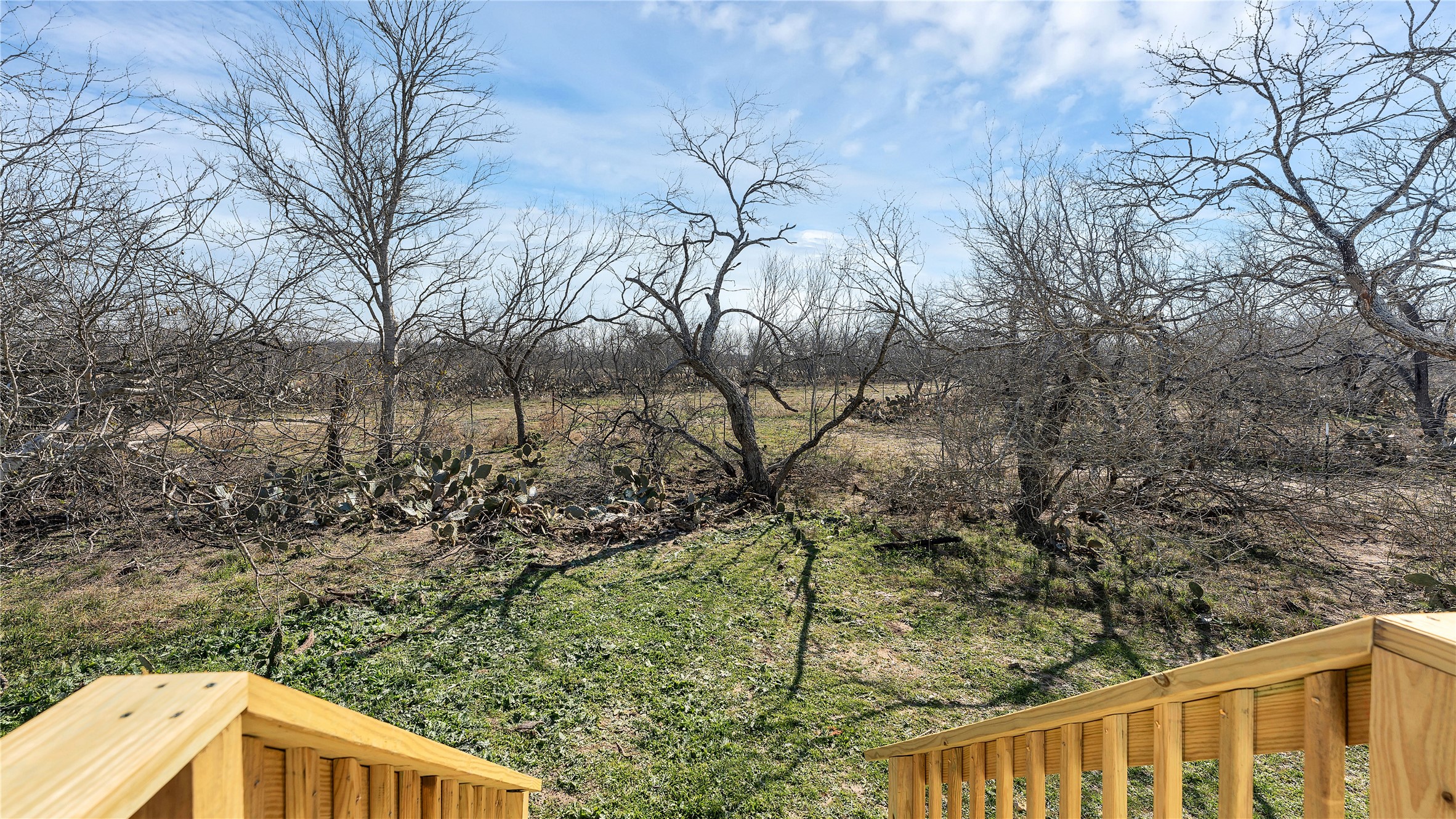 154 Cowboy Property Photo 34