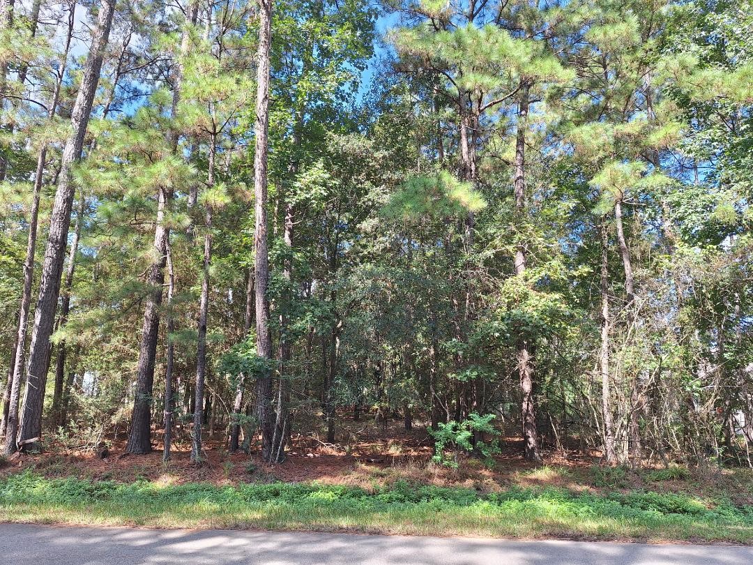 1023 Weisinger Drive Property Photo 1