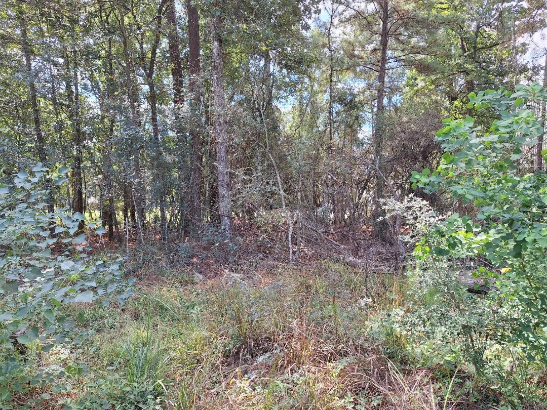 1023 Weisinger Drive Property Photo 3