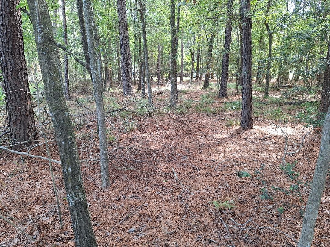 1023 Weisinger Drive Property Photo 4