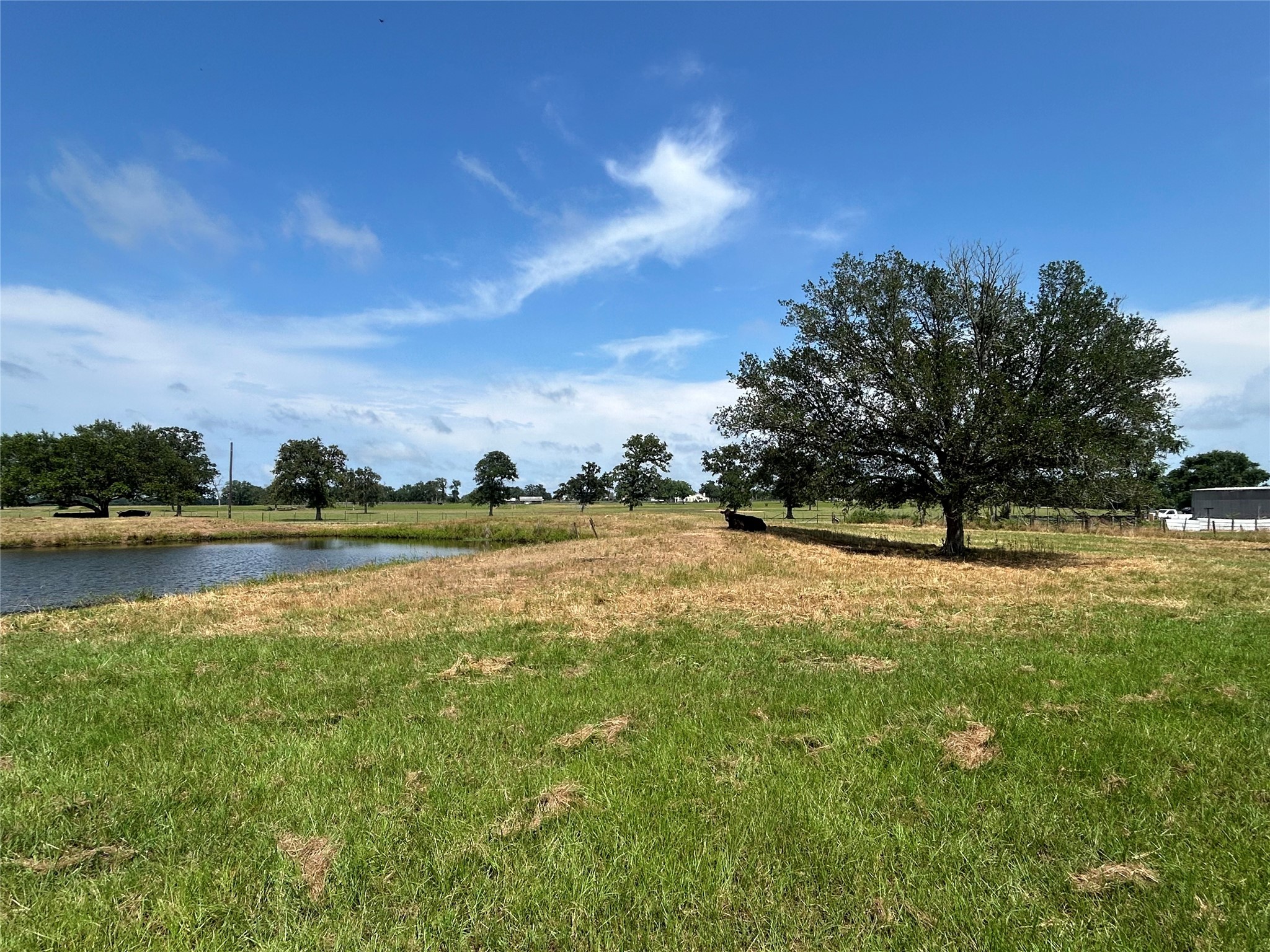 38535 Wiggins Road Property Photo 1