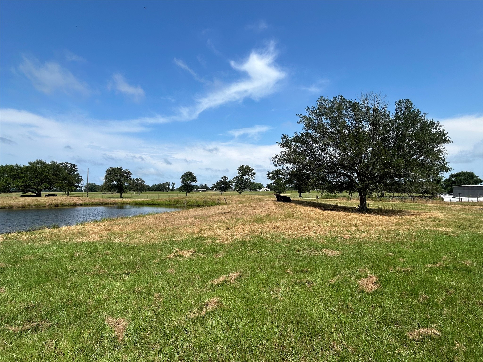 38535 Wiggins Road Property Photo 1