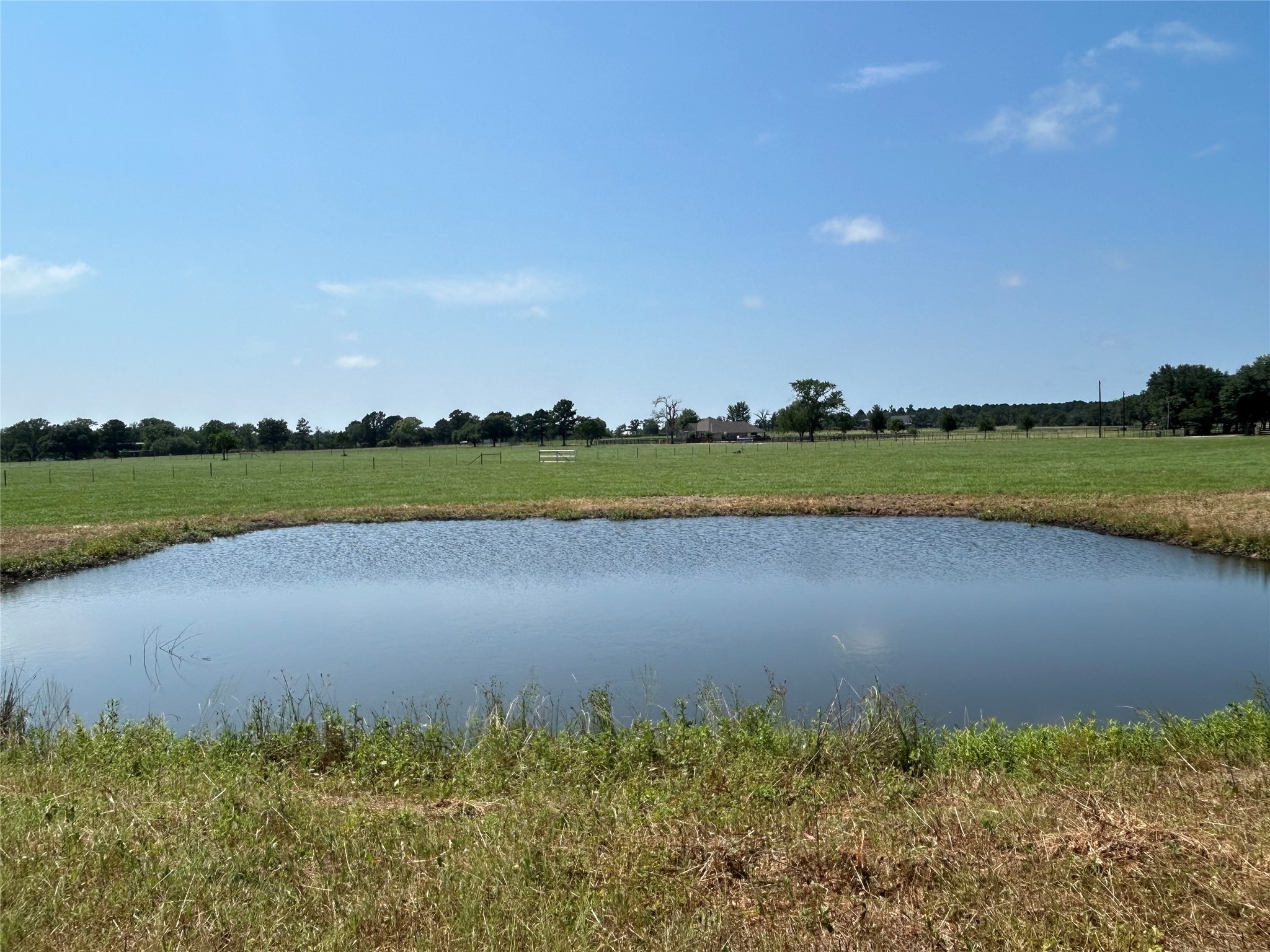 38535 Wiggins Road Property Photo 8