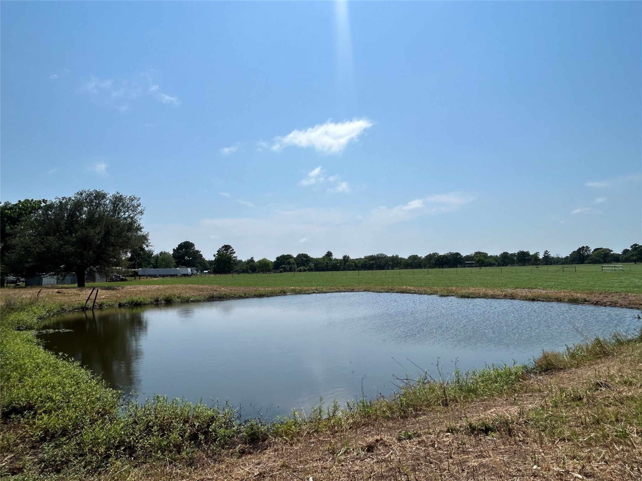 38535 Wiggins Road Property Photo 9