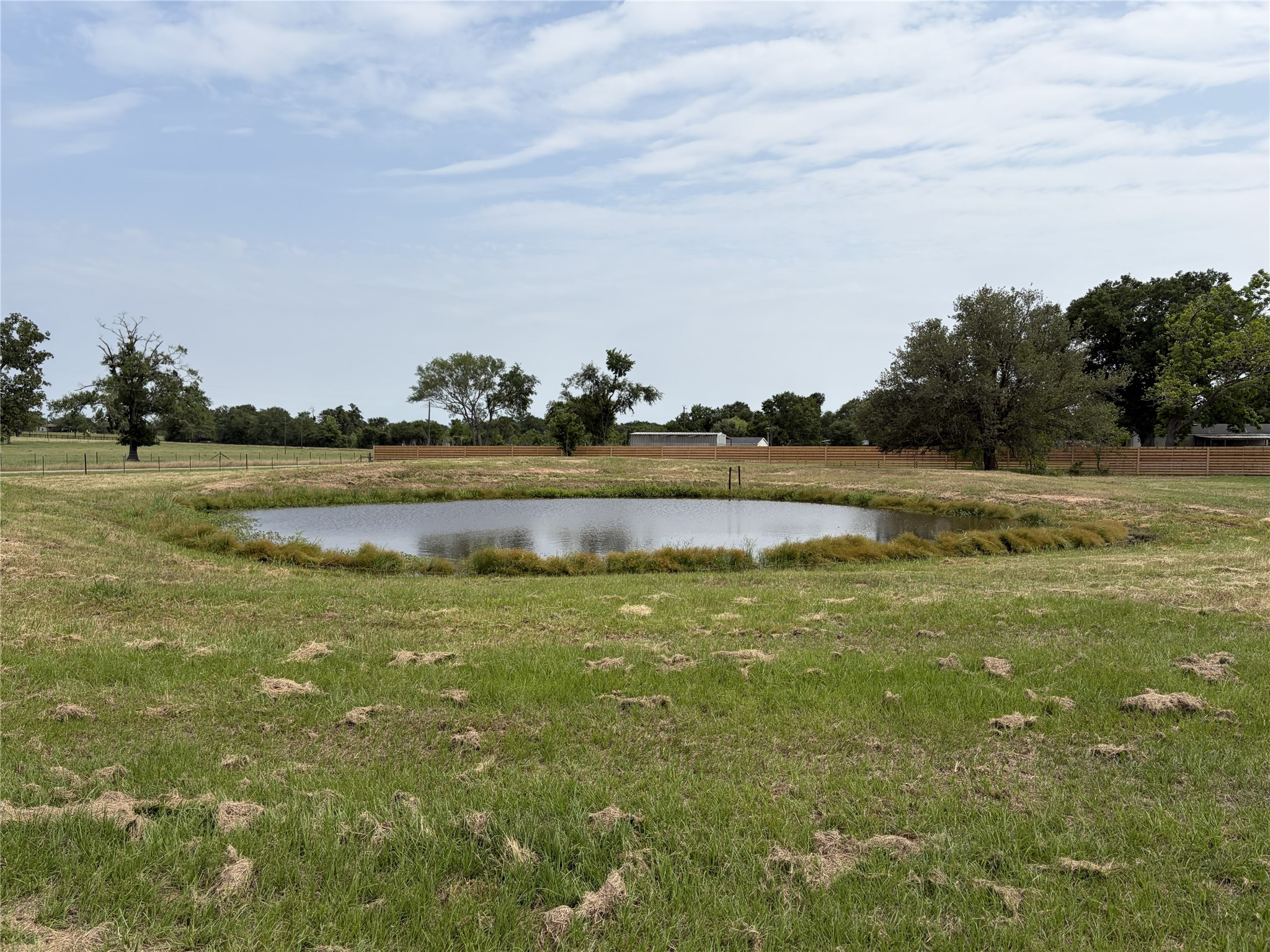 38535 Wiggins Road Property Photo 10