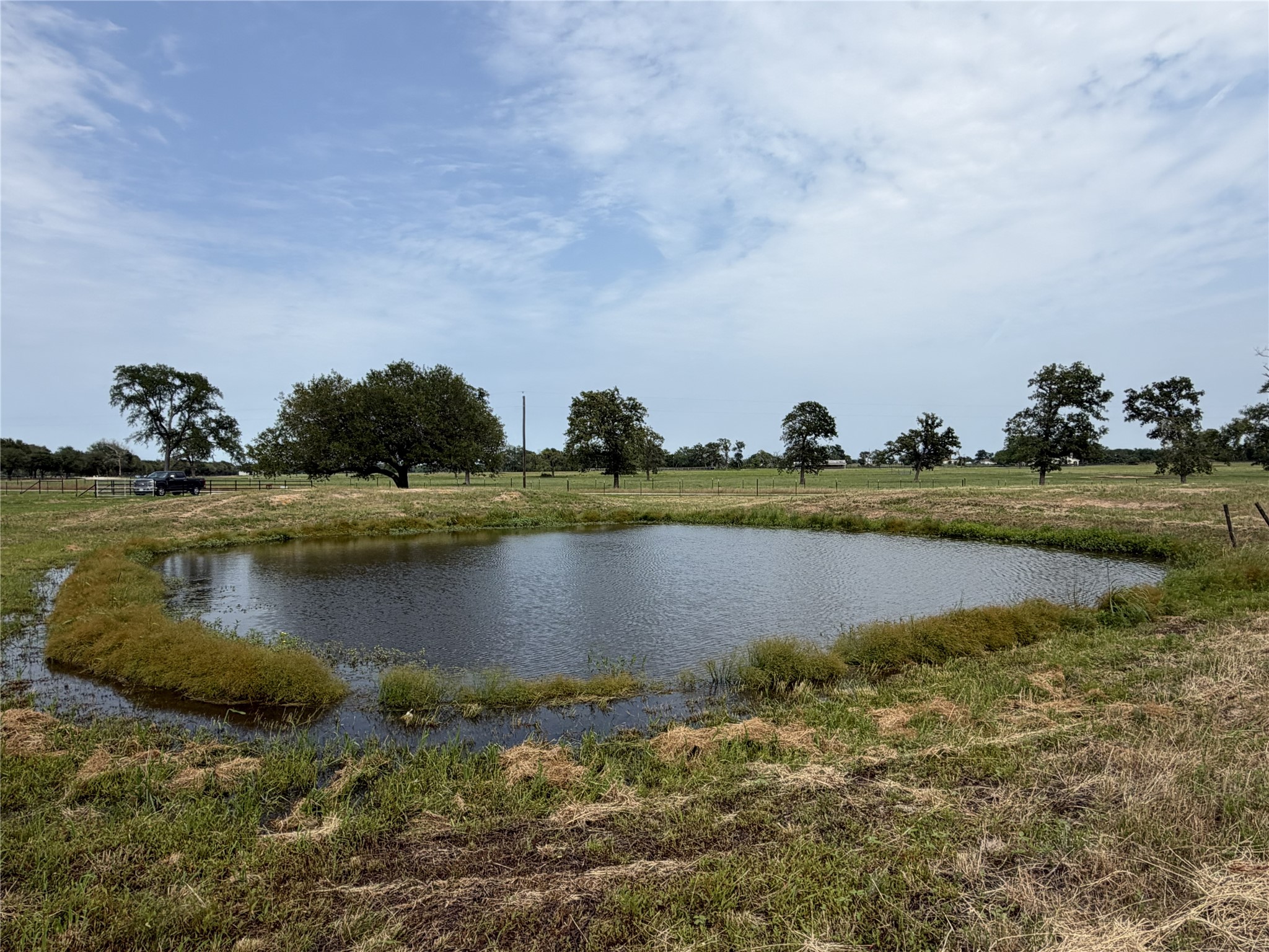 38535 Wiggins Road Property Photo 12