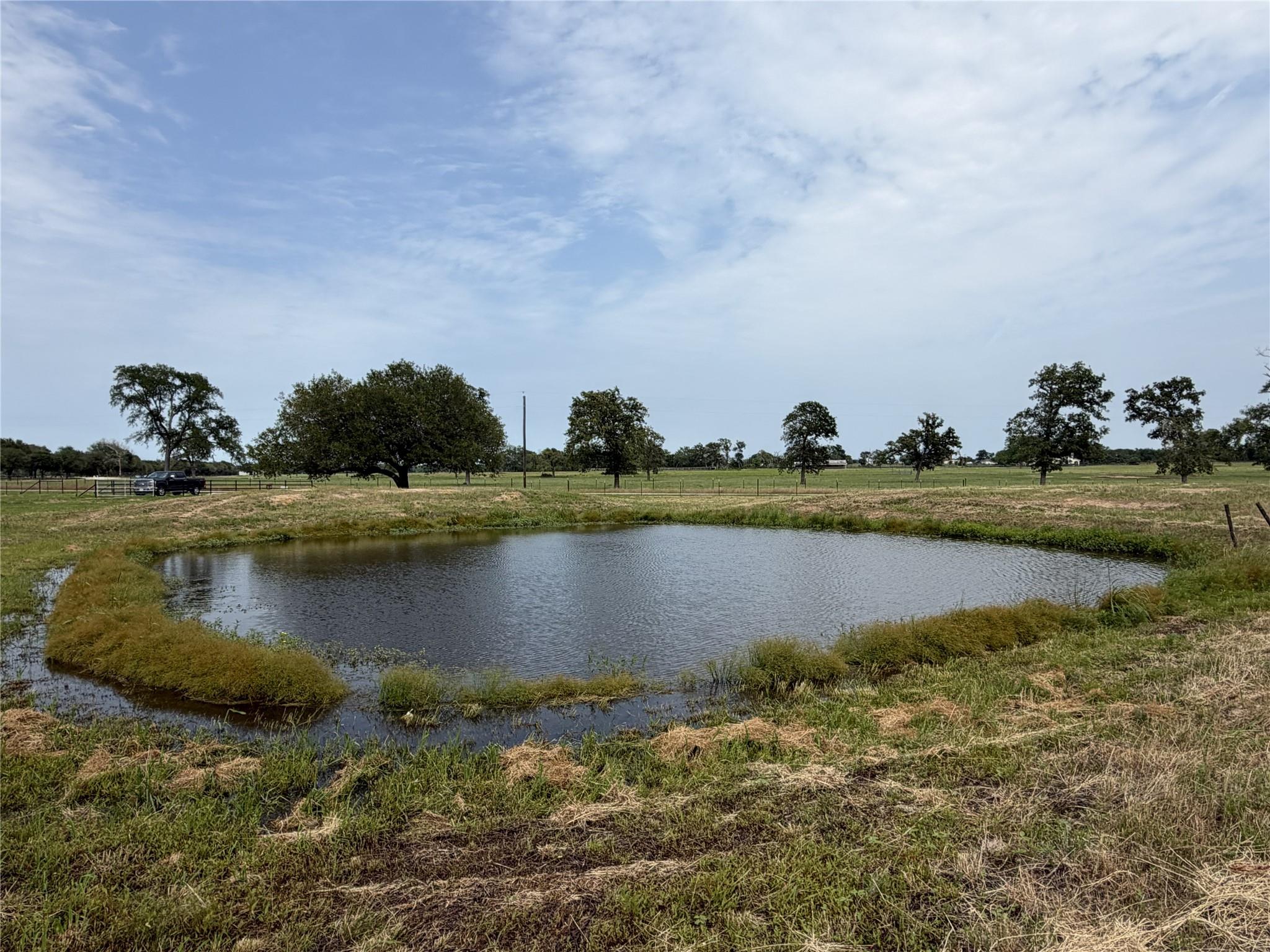 38535 Wiggins Road Property Photo 12