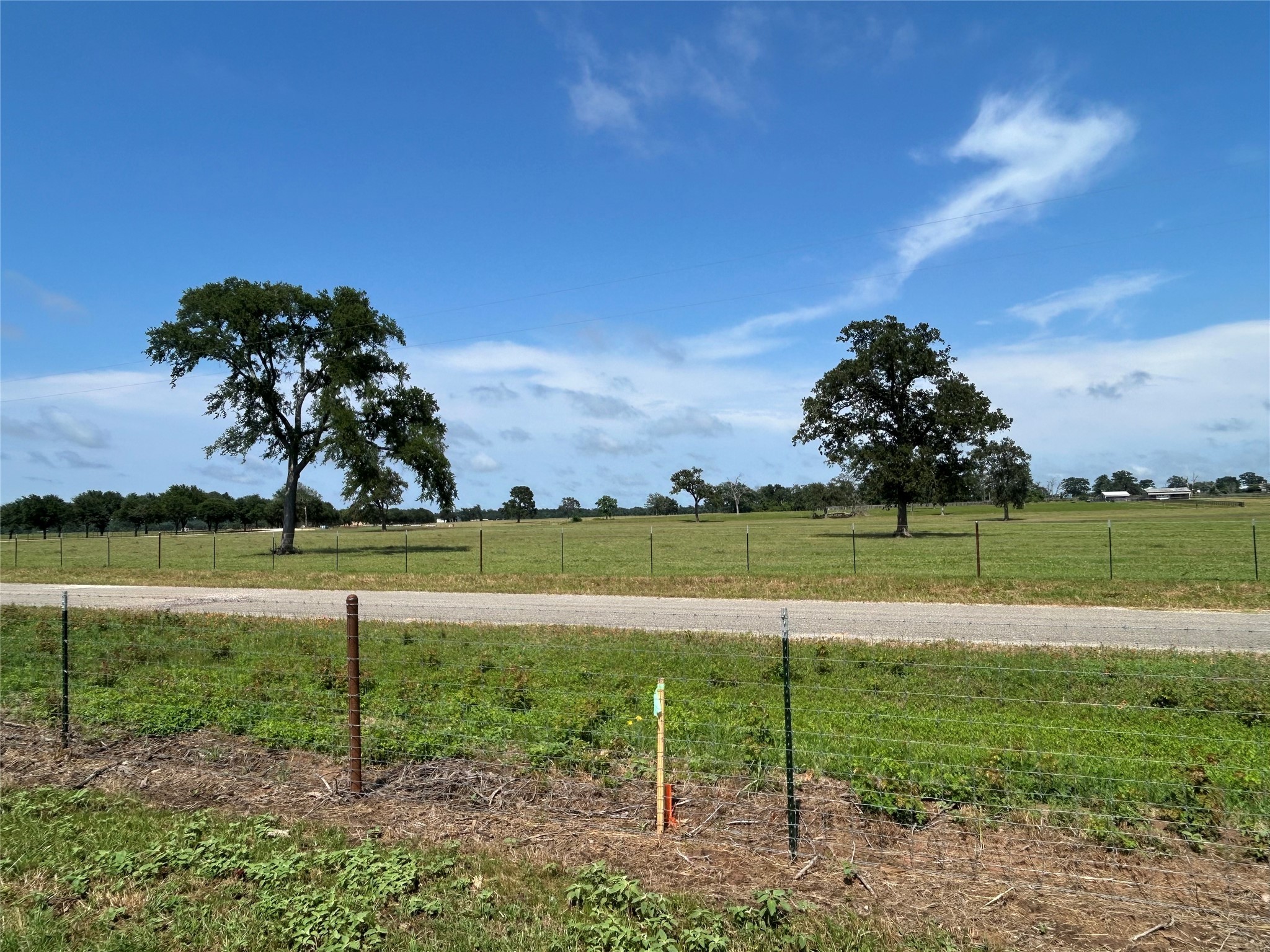 38535 Wiggins Road Property Photo 13