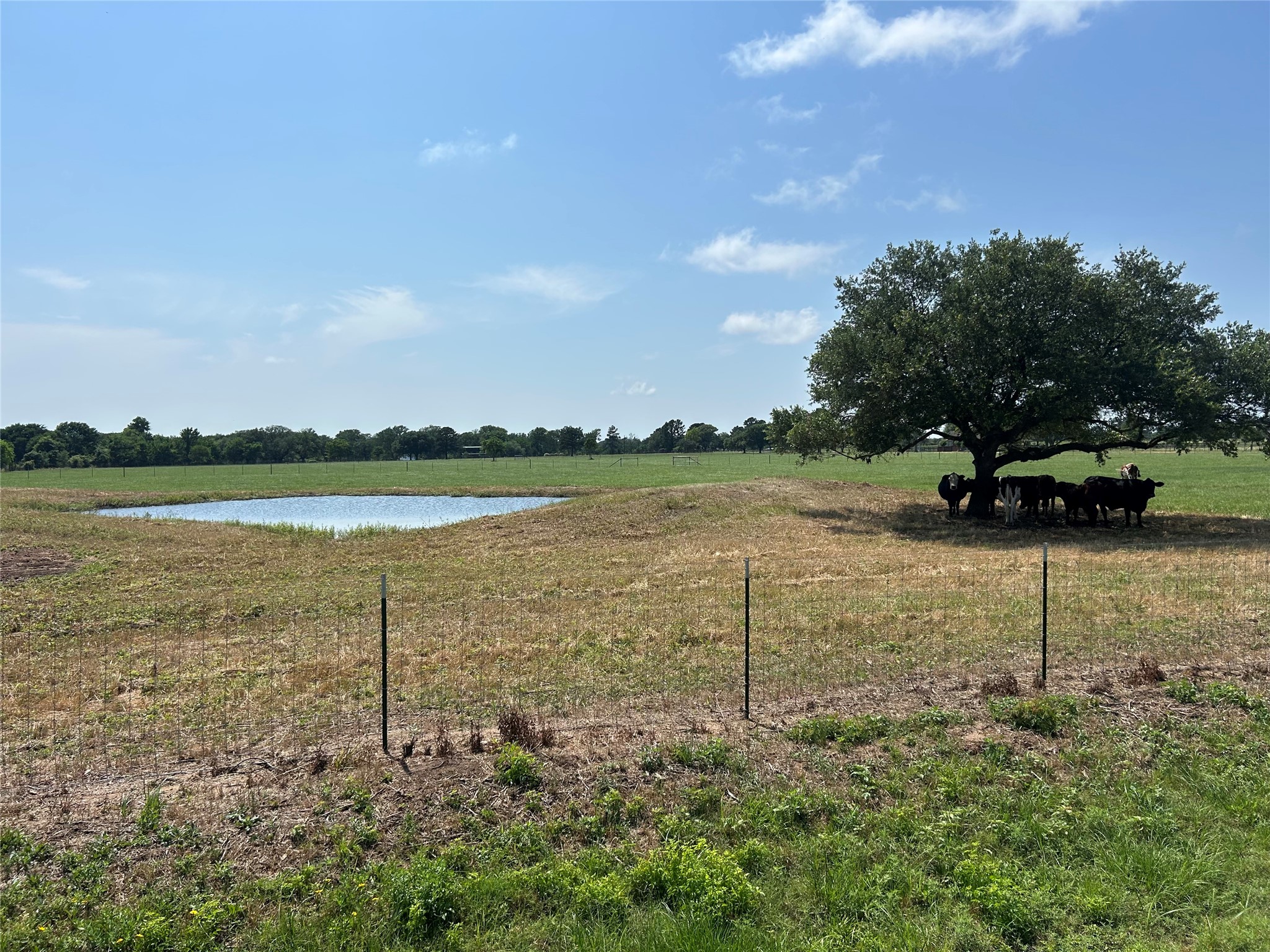 38535 Wiggins Road Property Photo 13