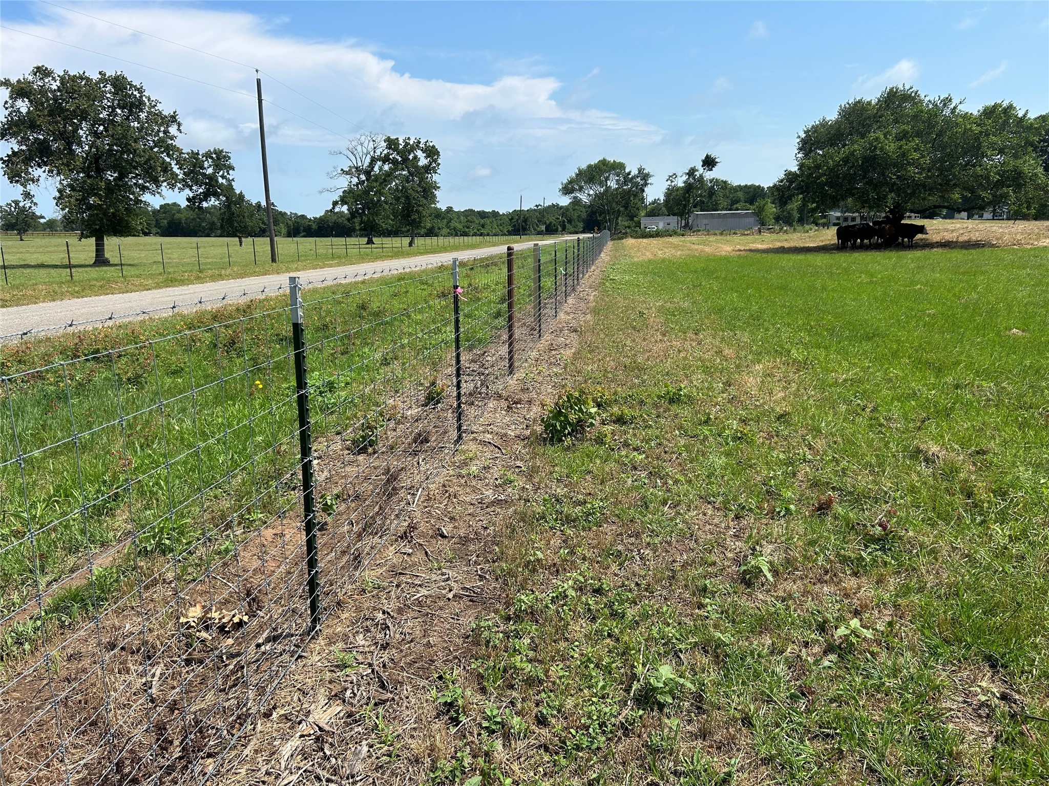 38535 Wiggins Road Property Photo 15
