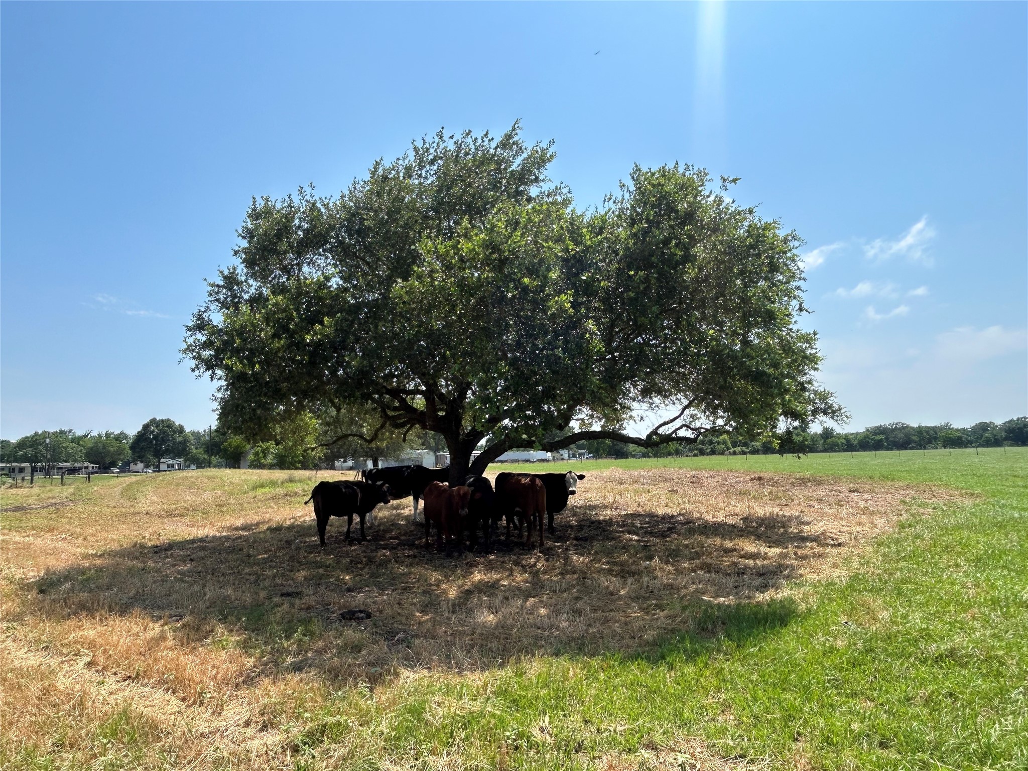 38535 Wiggins Road Property Photo 15