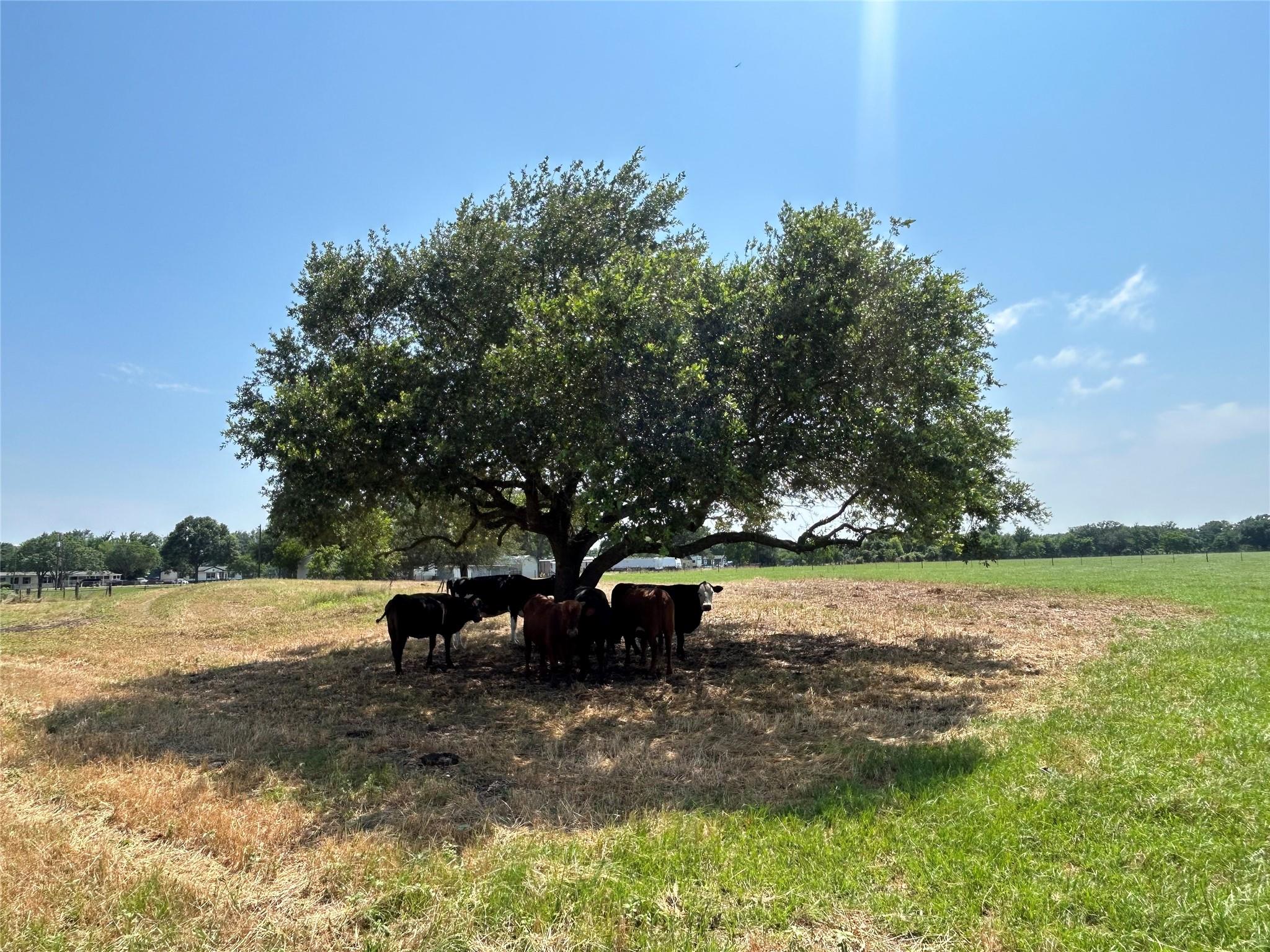 38535 Wiggins Road Property Photo 15