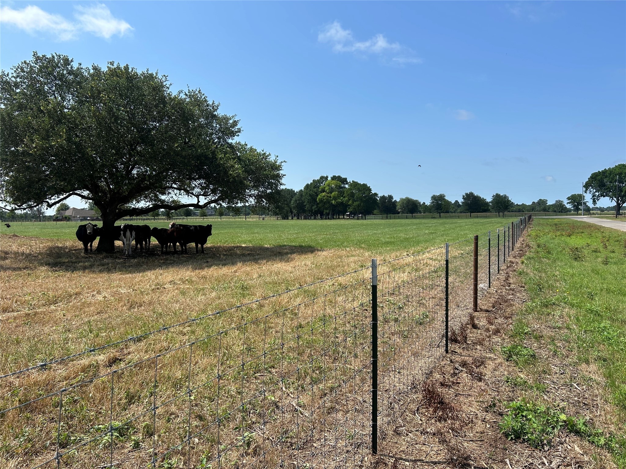 38535 Wiggins Road Property Photo 16