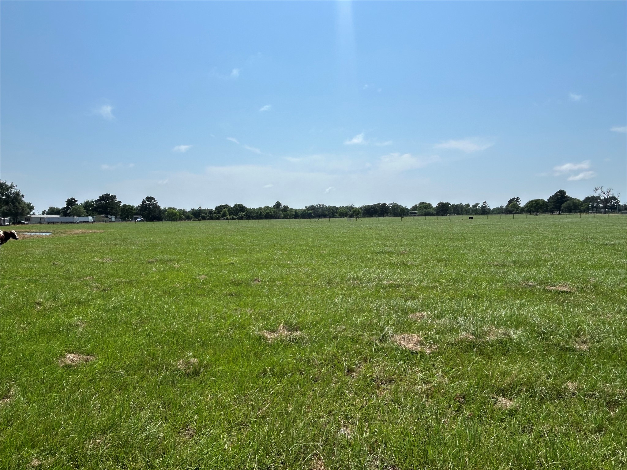 38535 Wiggins Road Property Photo 16