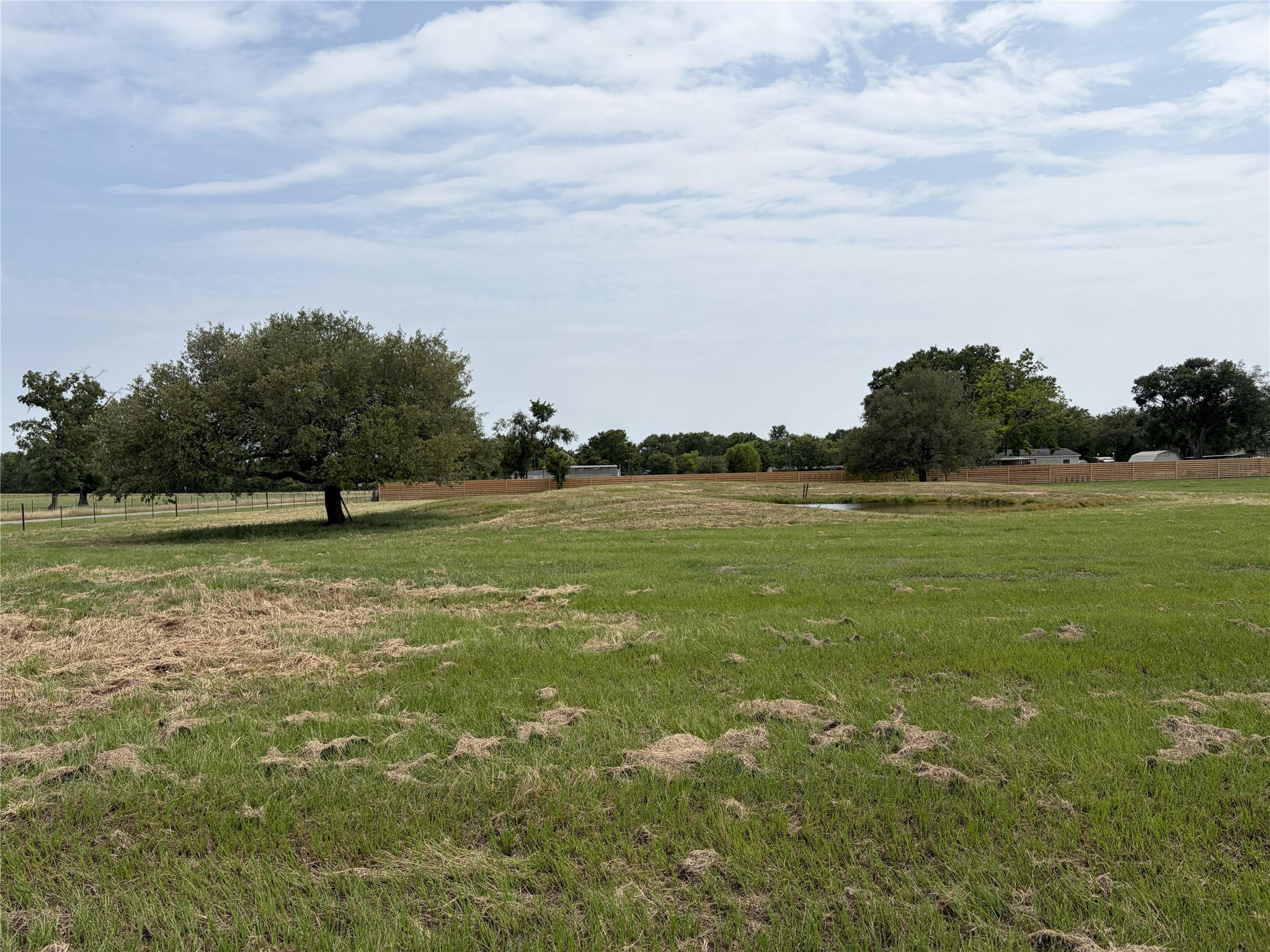 38535 Wiggins Road Property Photo 17