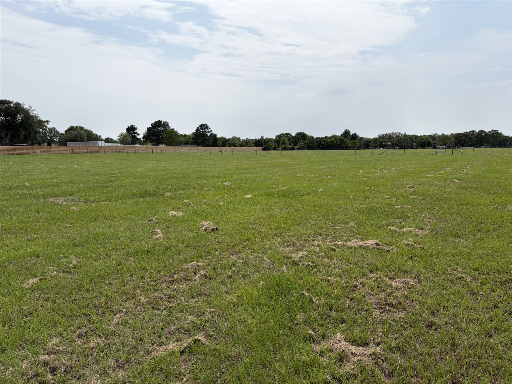 38535 Wiggins Road Property Photo 18