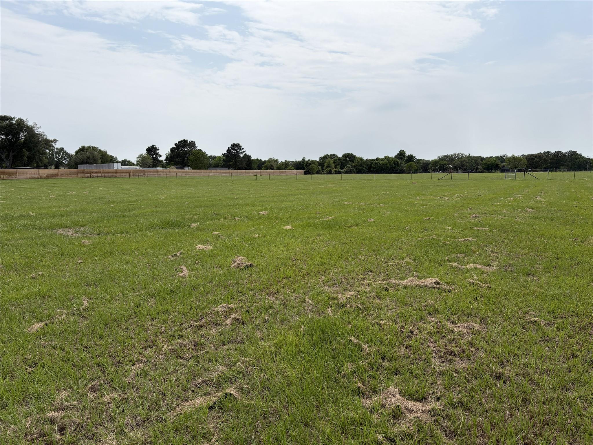 38535 Wiggins Road Property Photo 18