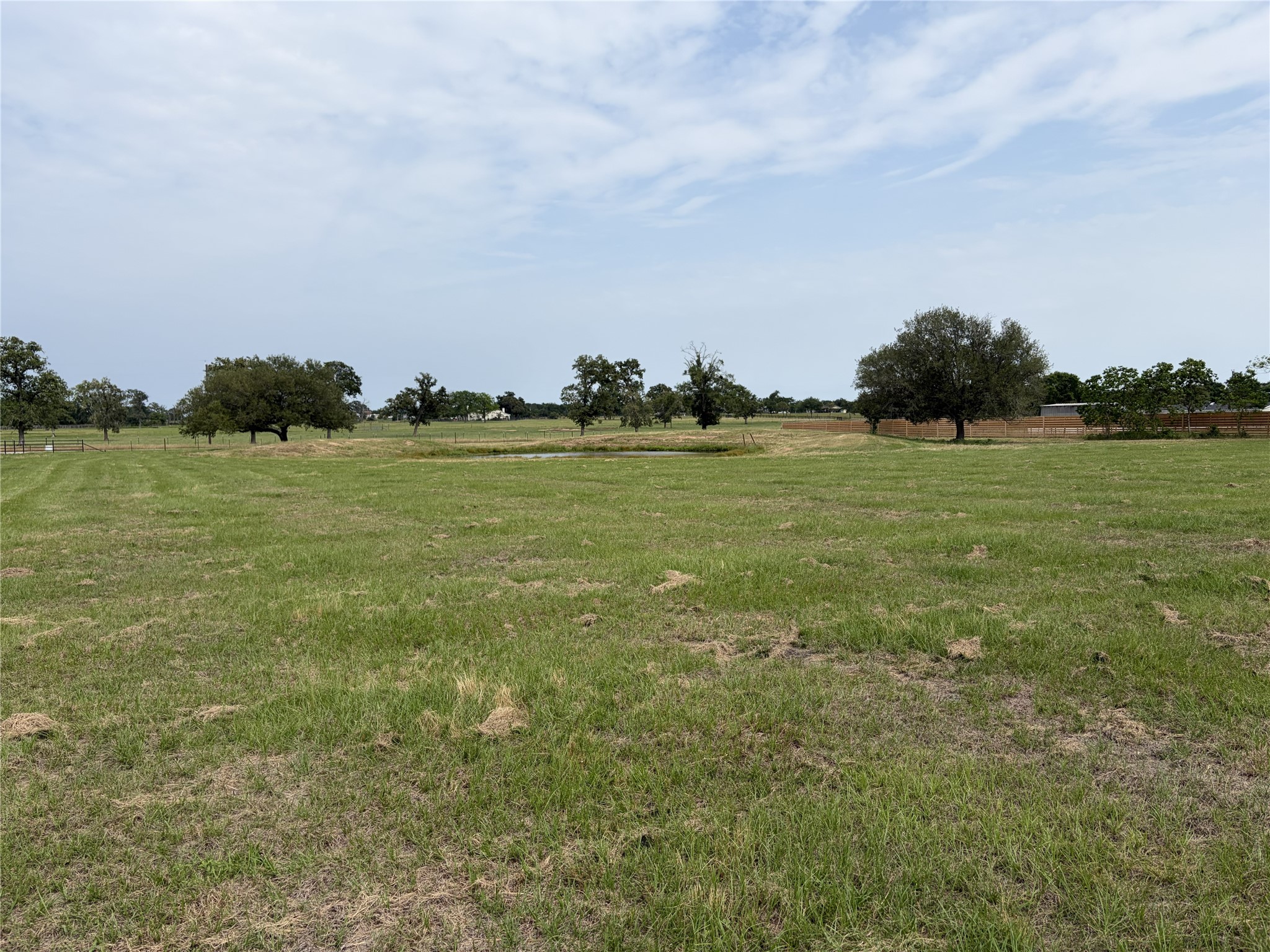 38535 Wiggins Road Property Photo 19