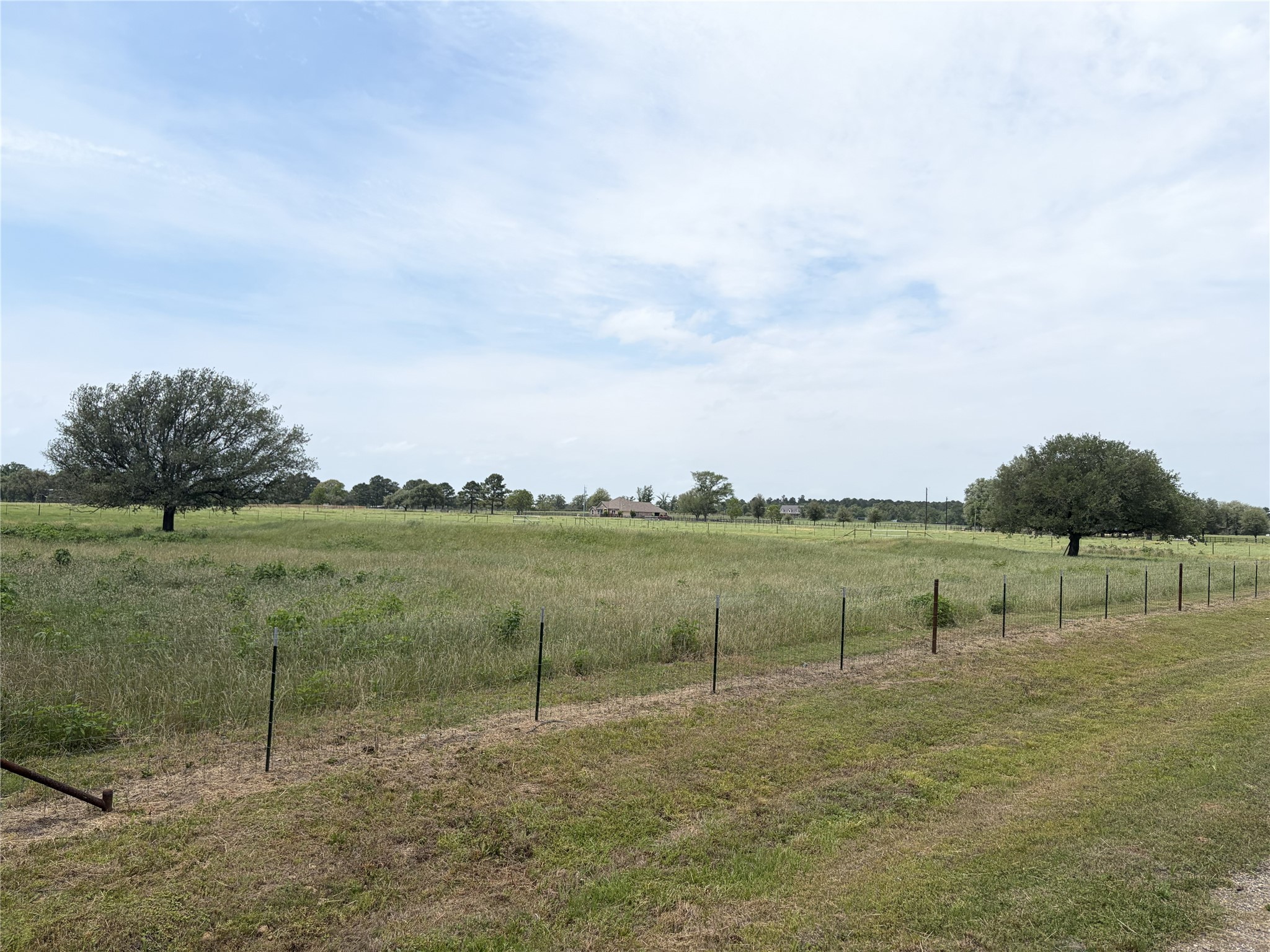 38535 Wiggins Road Property Photo 23