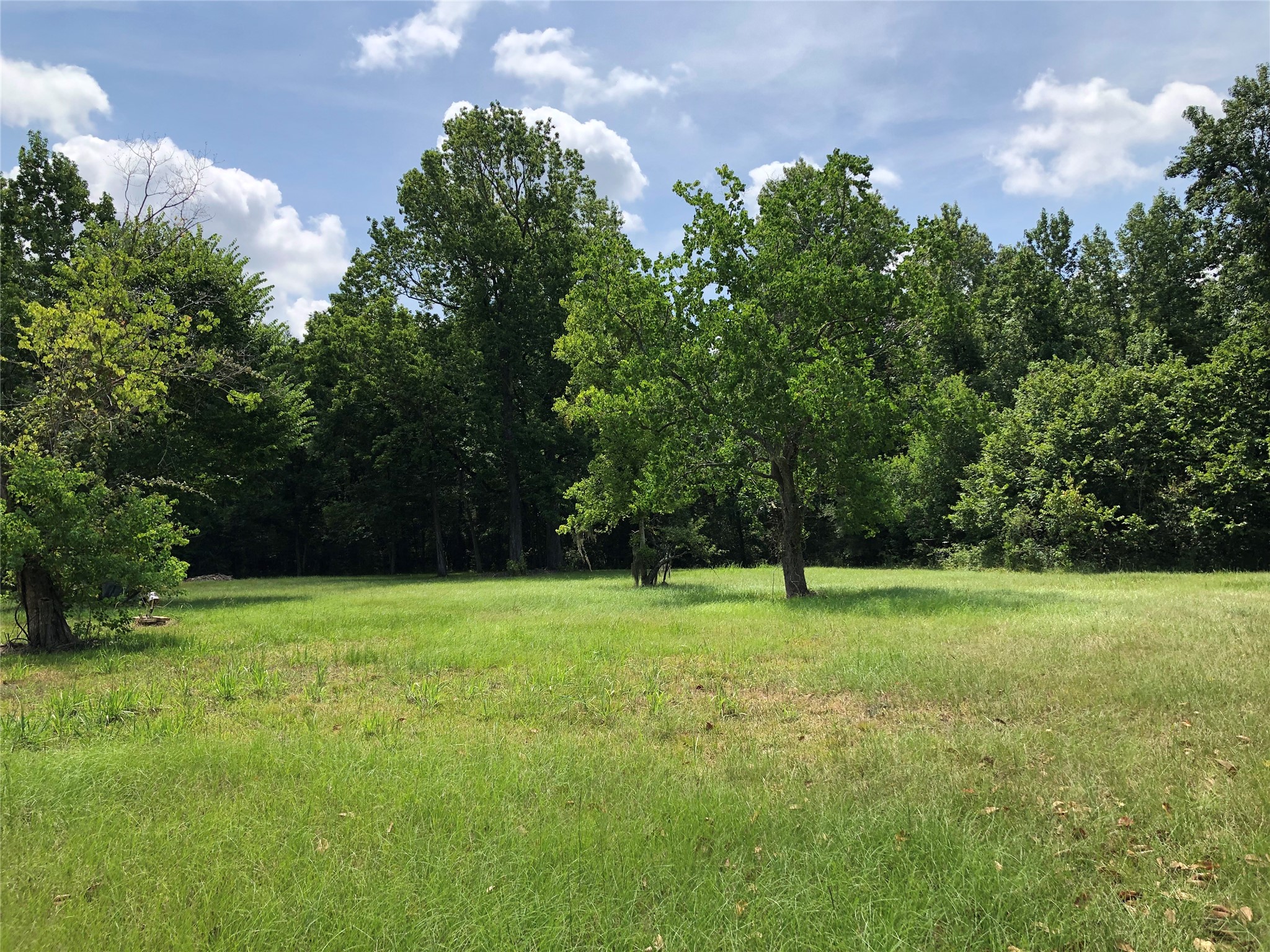 6813 Fm 563 Road Property Photo 1