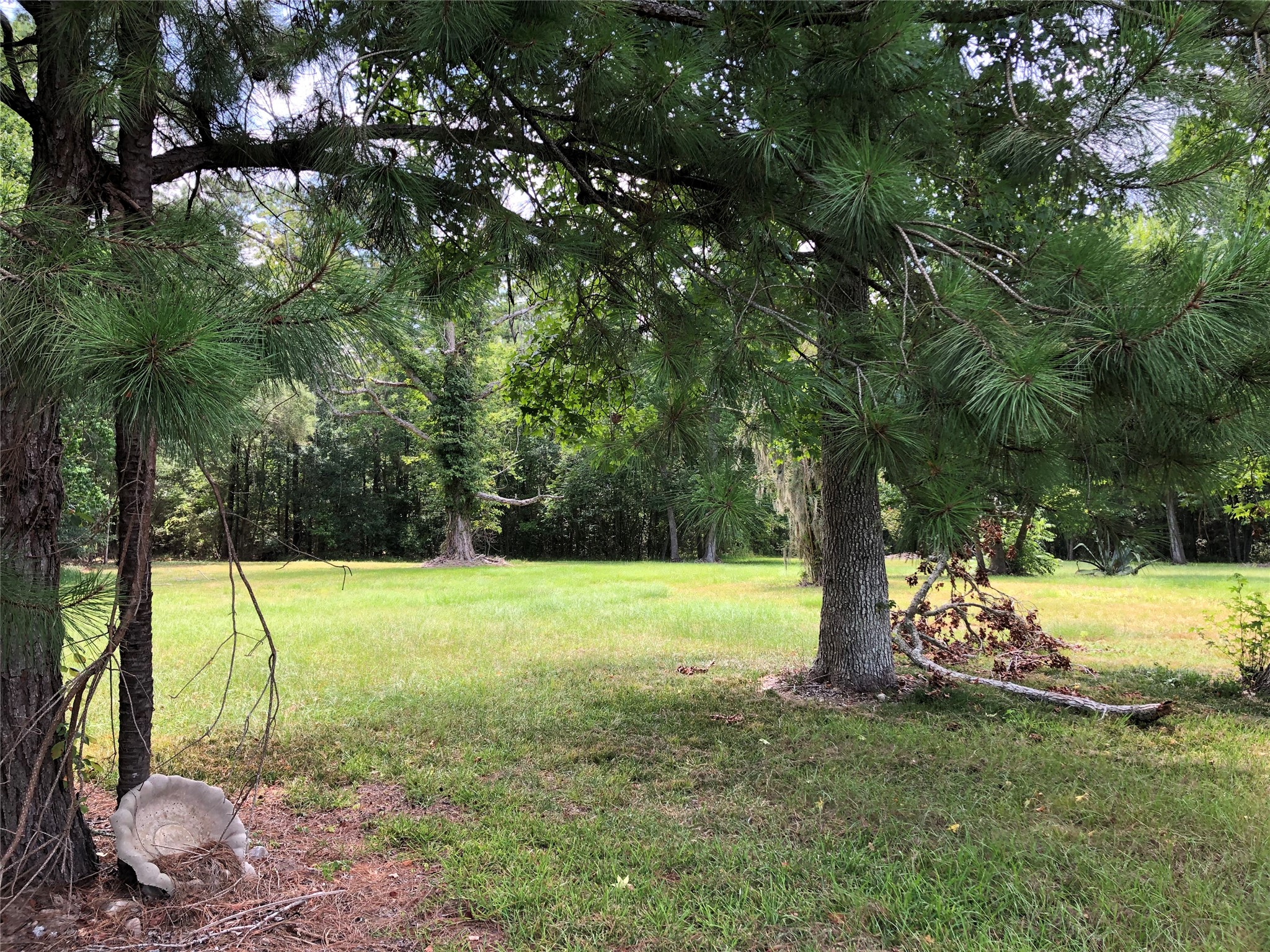6813 Fm 563 Road Property Photo 3