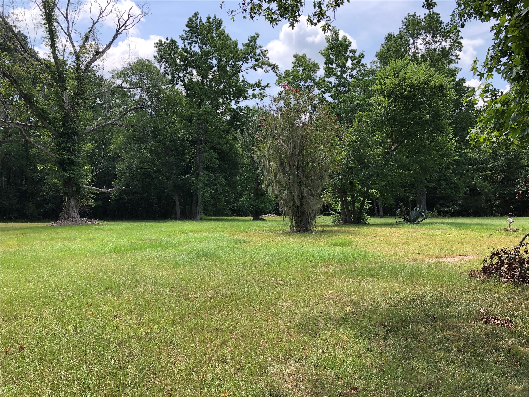 6813 Fm 563 Road Property Photo 4