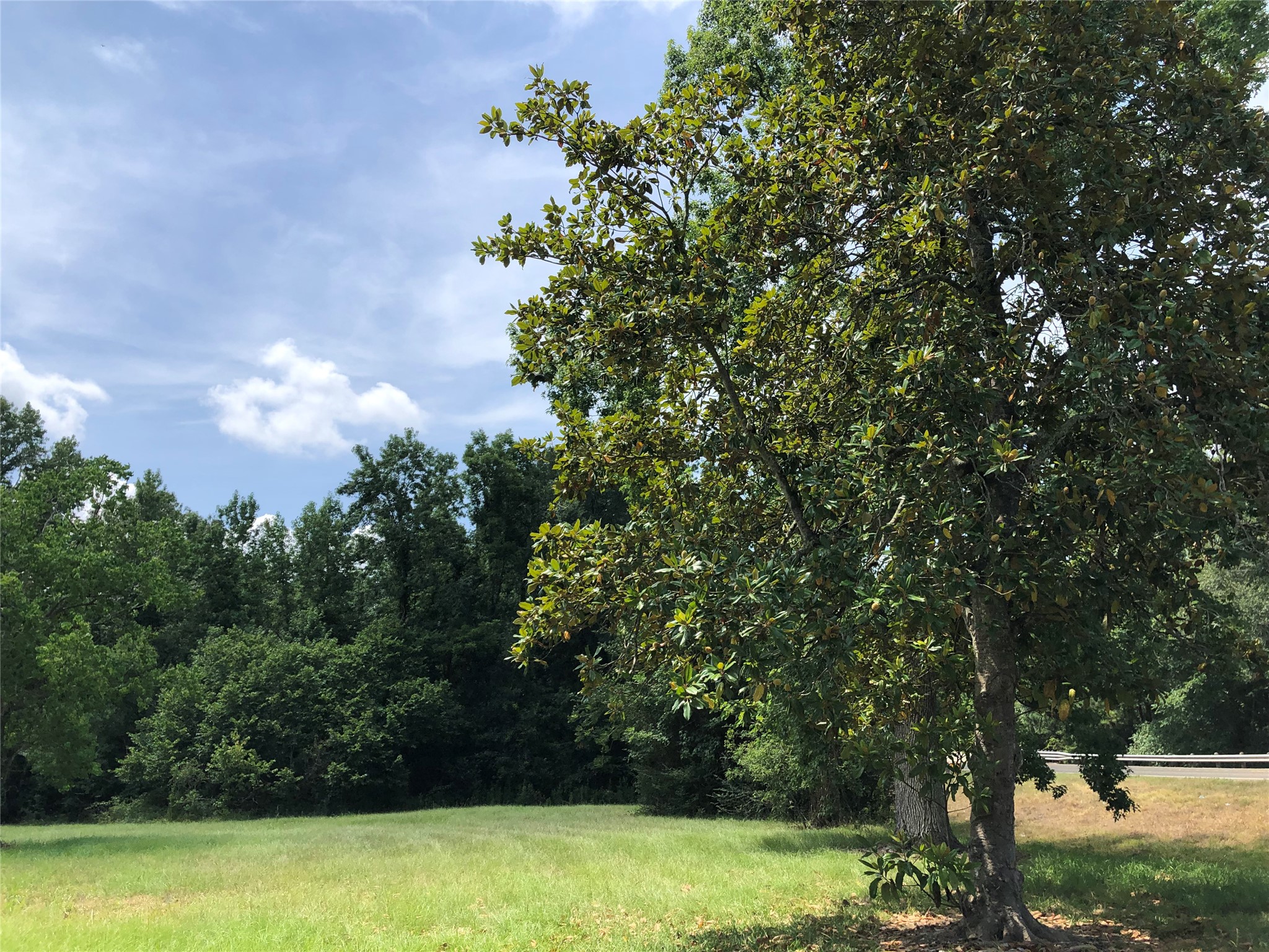 6813 Fm 563 Road Property Photo 5