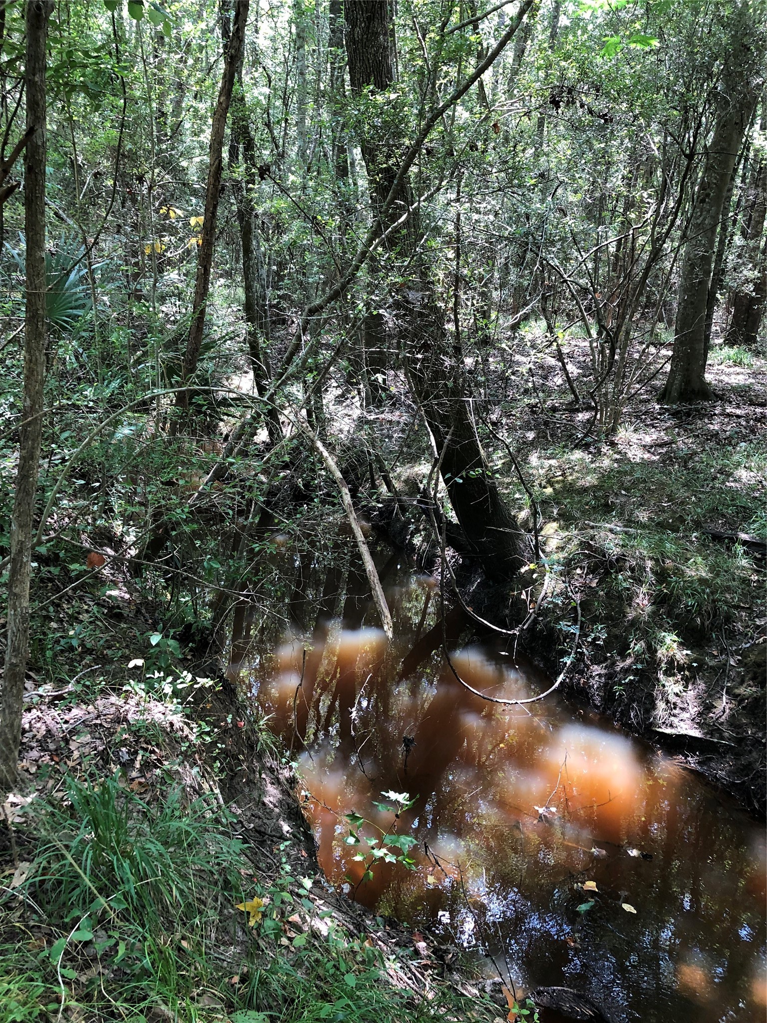 6813 Fm 563 Road Property Photo 8