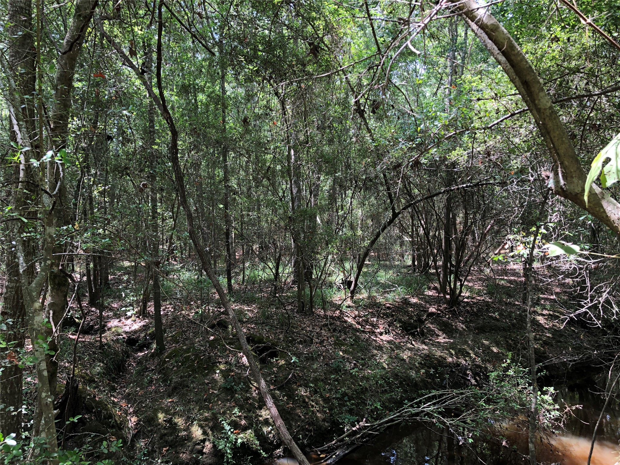 6813 Fm 563 Road Property Photo 10