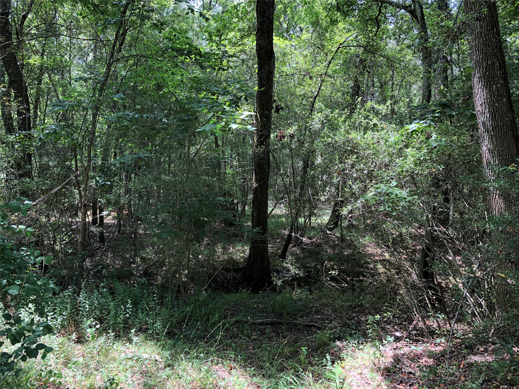 6813 Fm 563 Road Property Photo 11