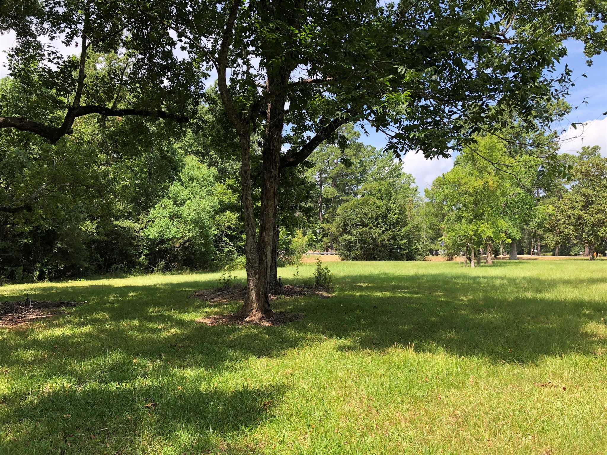 6813 Fm 563 Road Property Photo 14