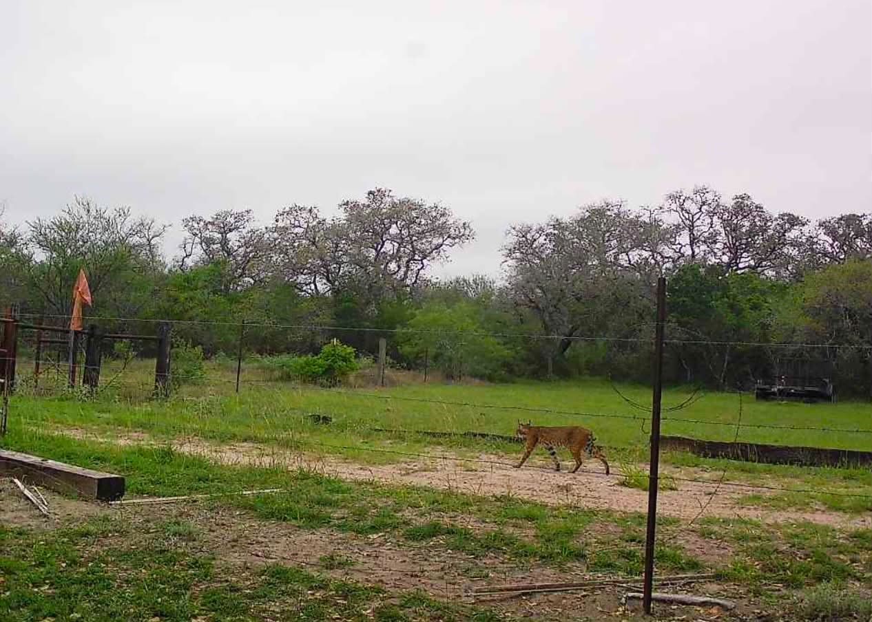 10423 State Highway 21 W Property Photo 2