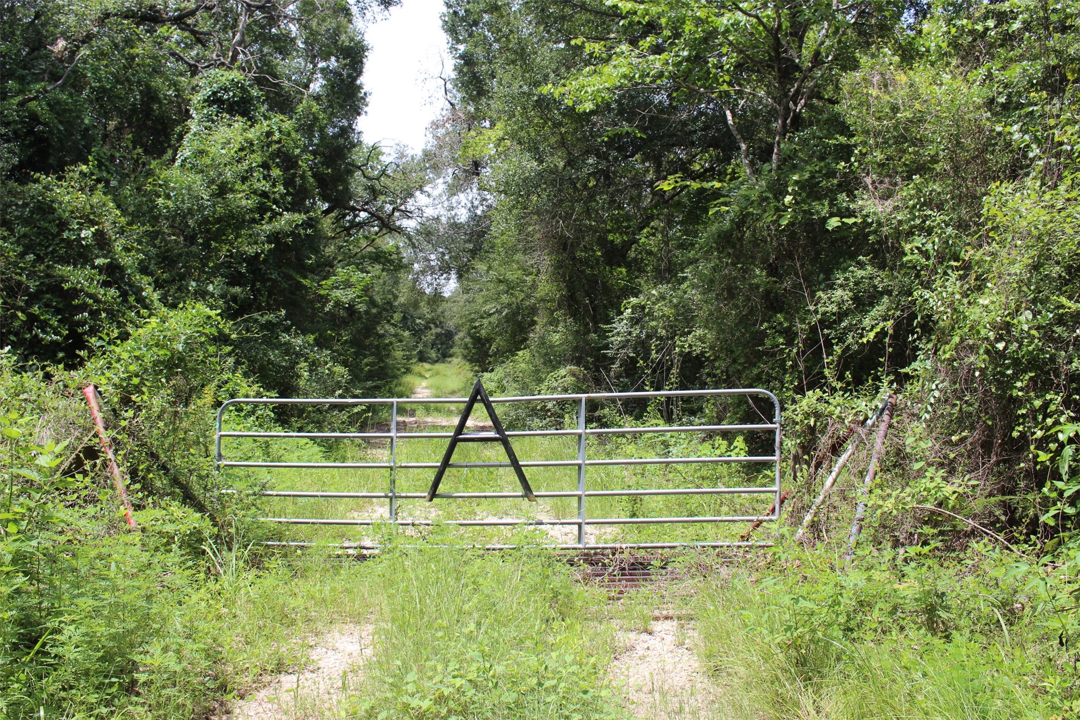 1306 County Road 3455a Property Photo 1