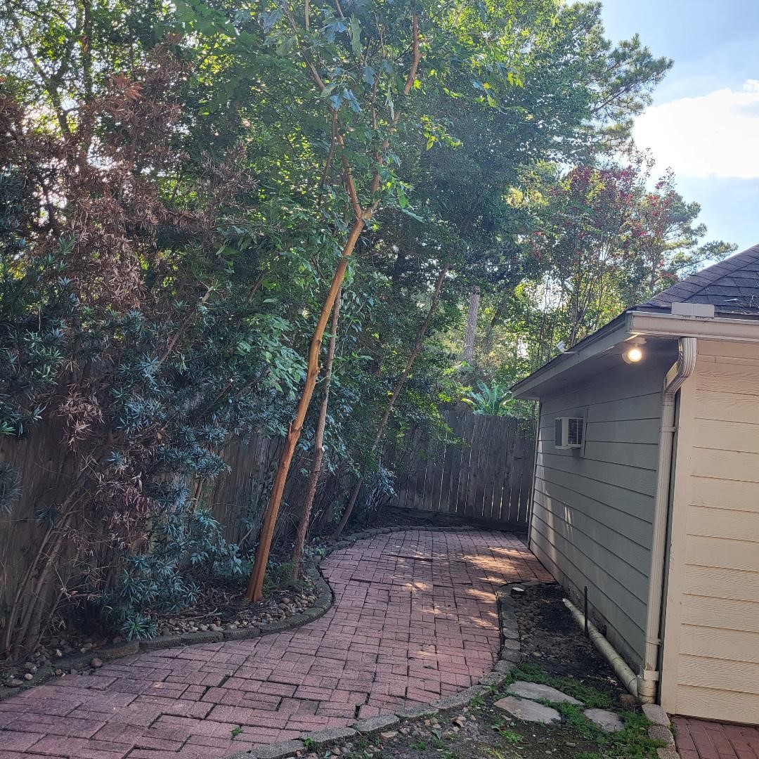 9215 Symphonic Lane Property Photo 29