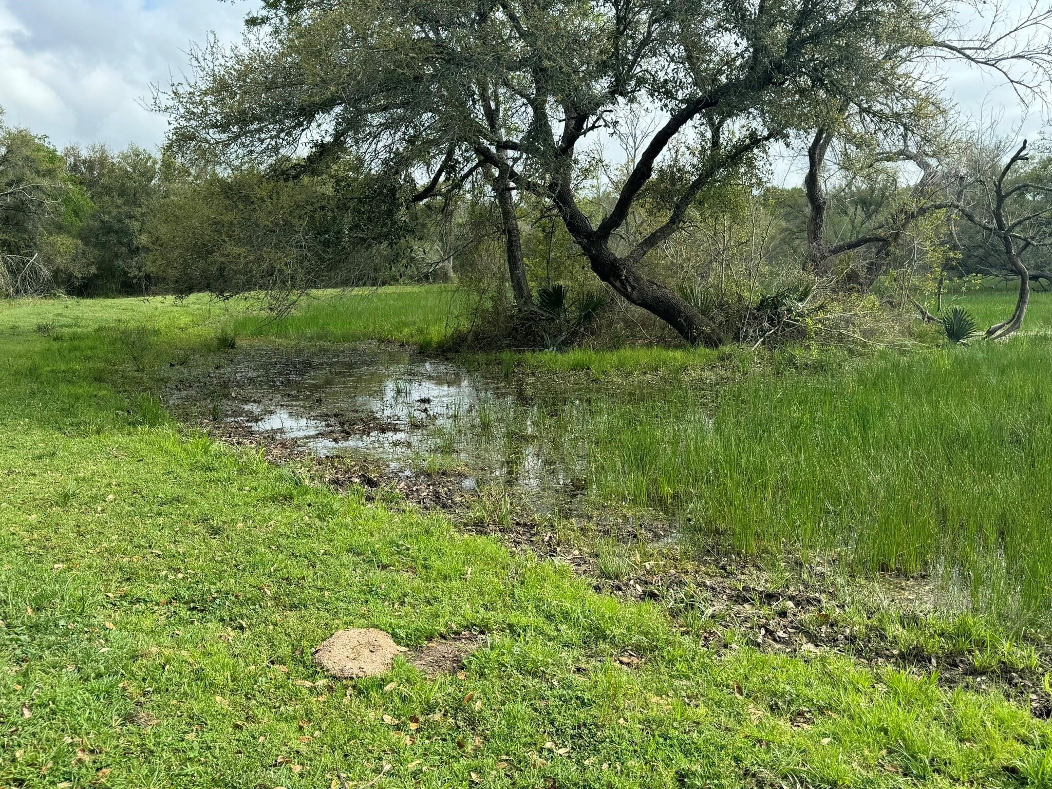 Tbd County Road 394 Property Photo 3
