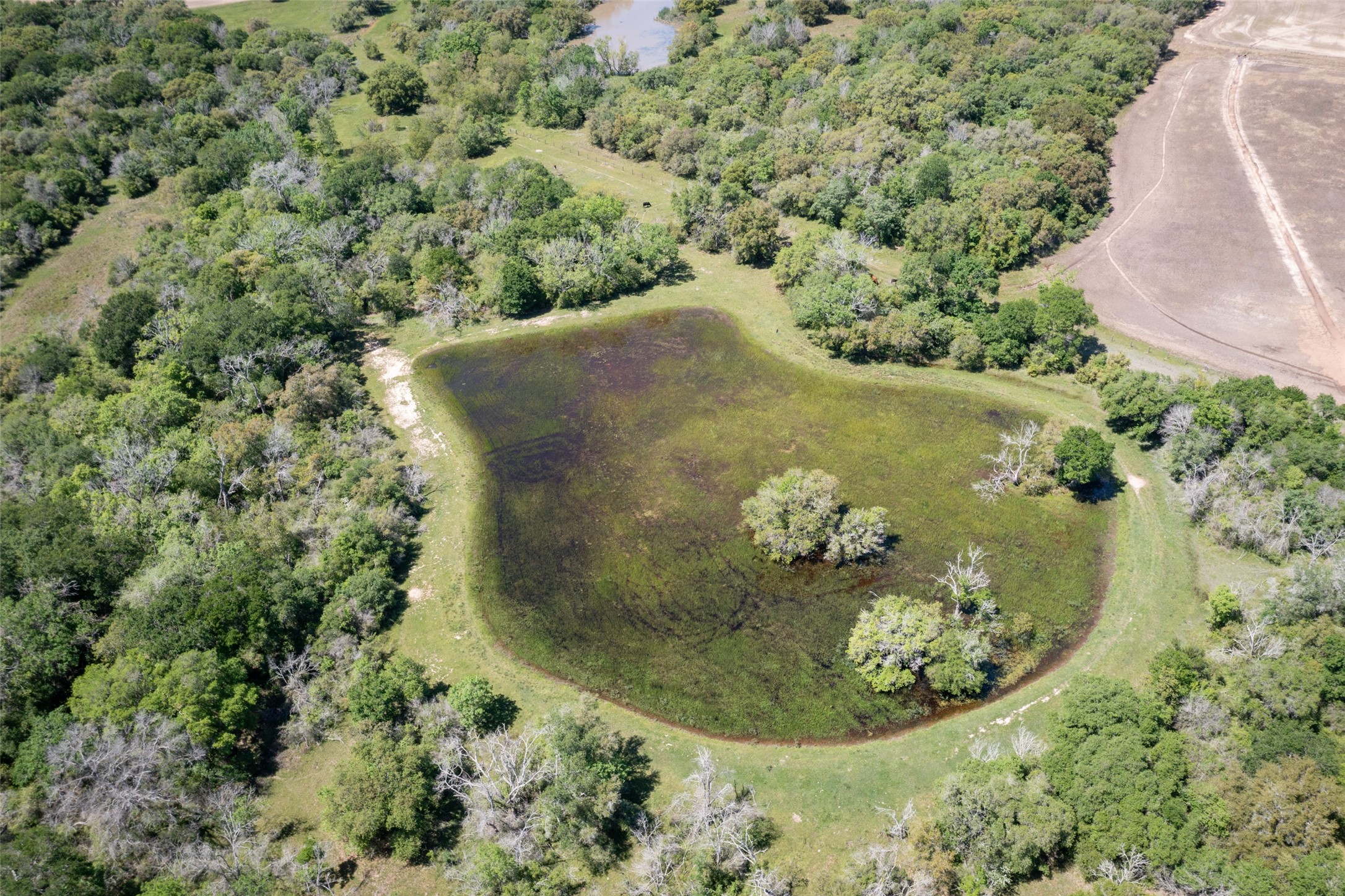 Tbd County Road 394 Property Photo 5