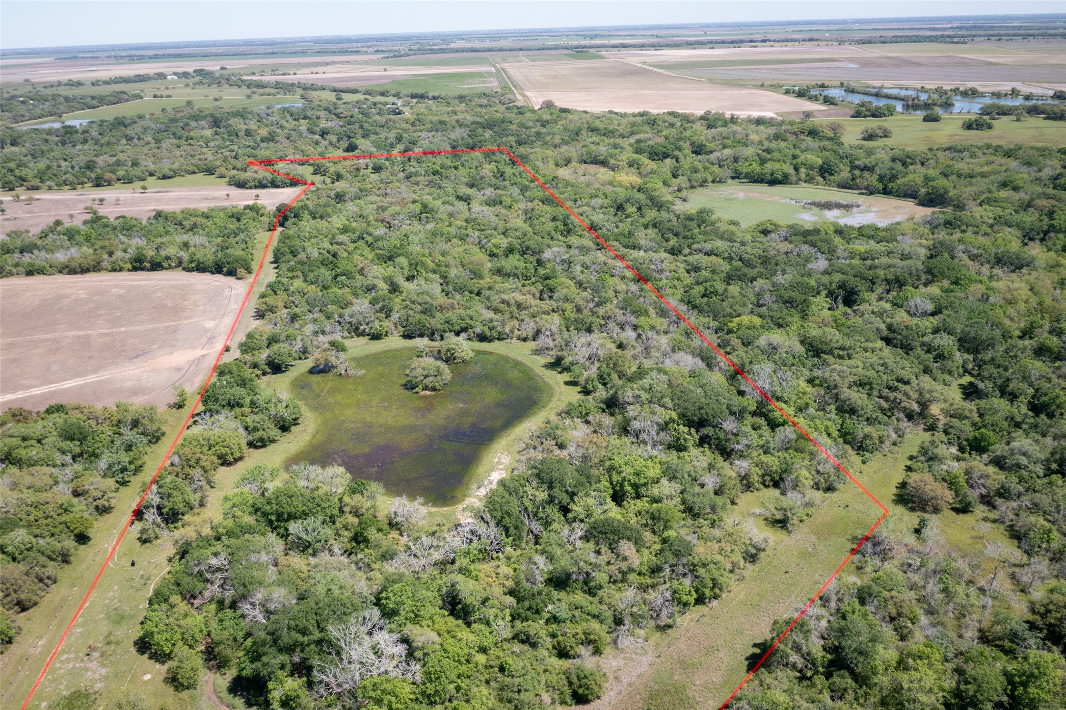 Tbd County Road 394 Property Photo 6