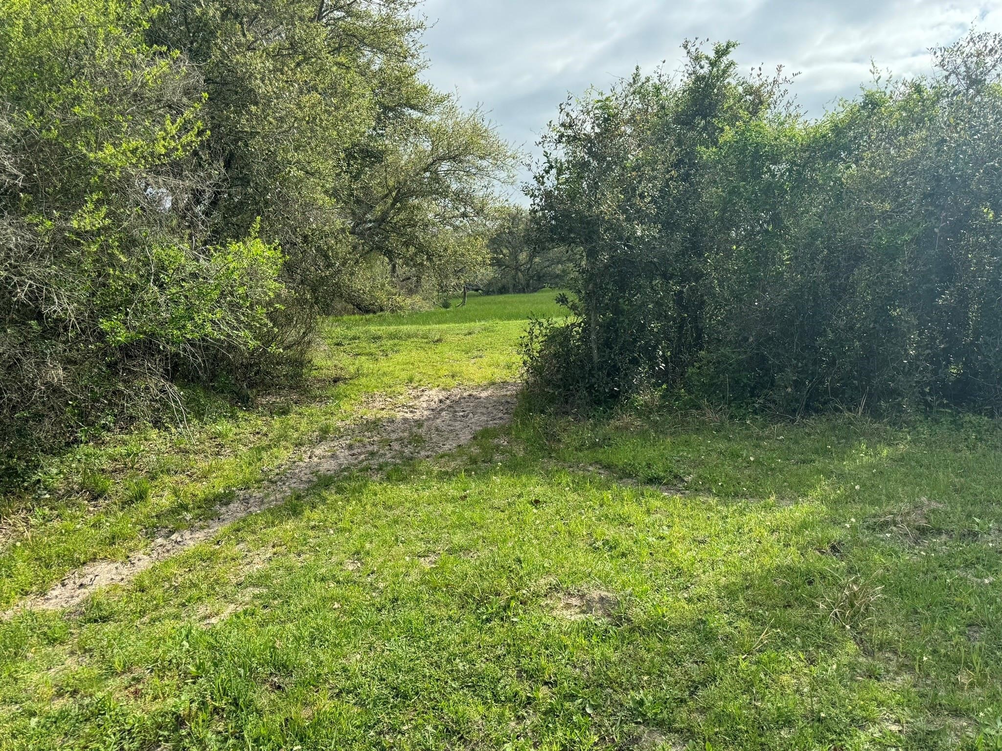 Tbd County Road 394 Property Photo 10