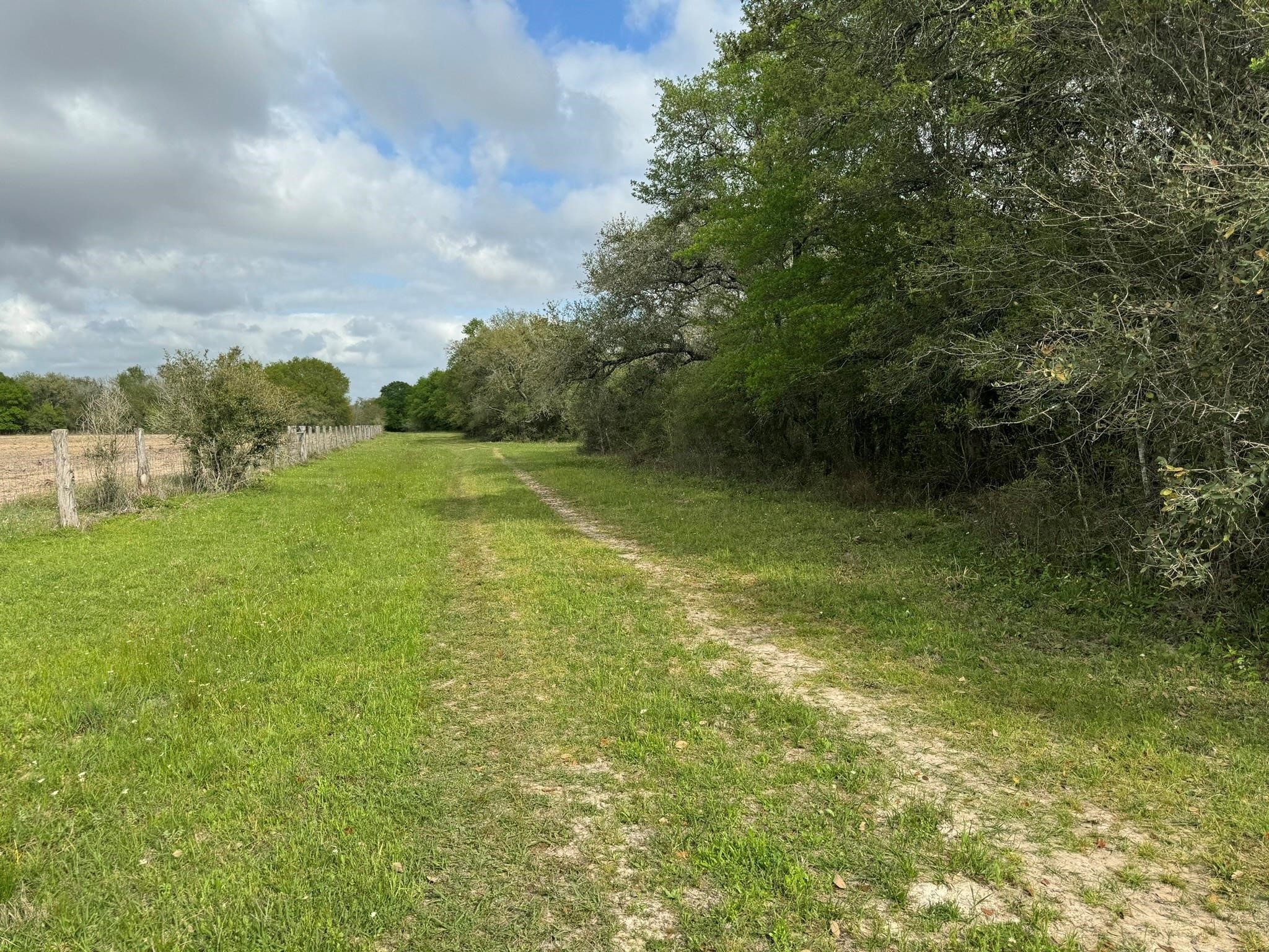 Tbd County Road 394 Property Photo 11