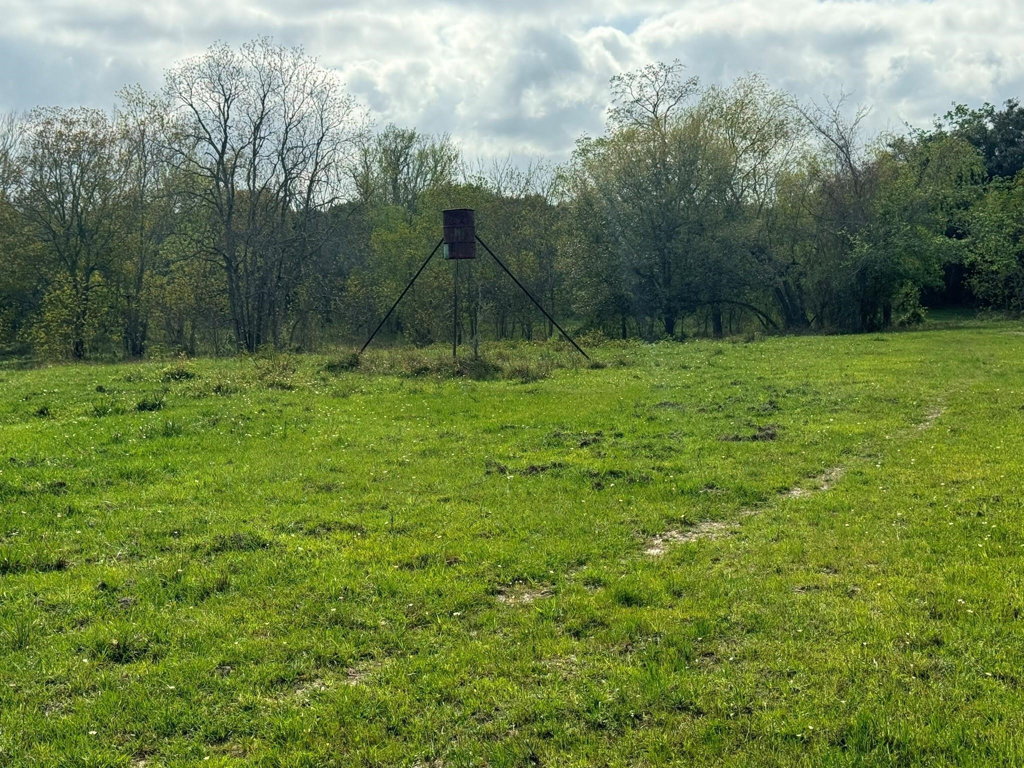 Tbd County Road 394 Property Photo 13