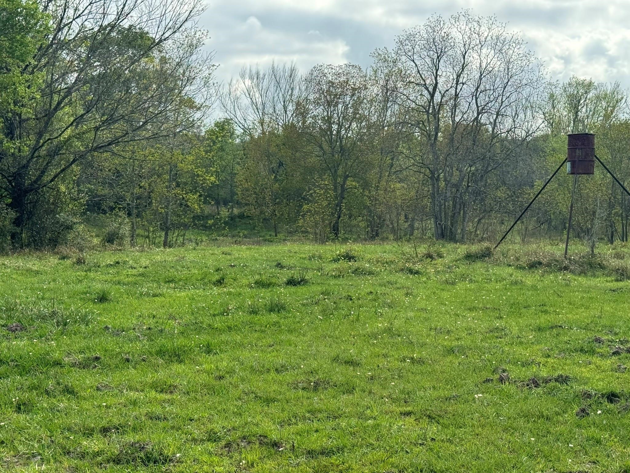 Tbd County Road 394 Property Photo 15