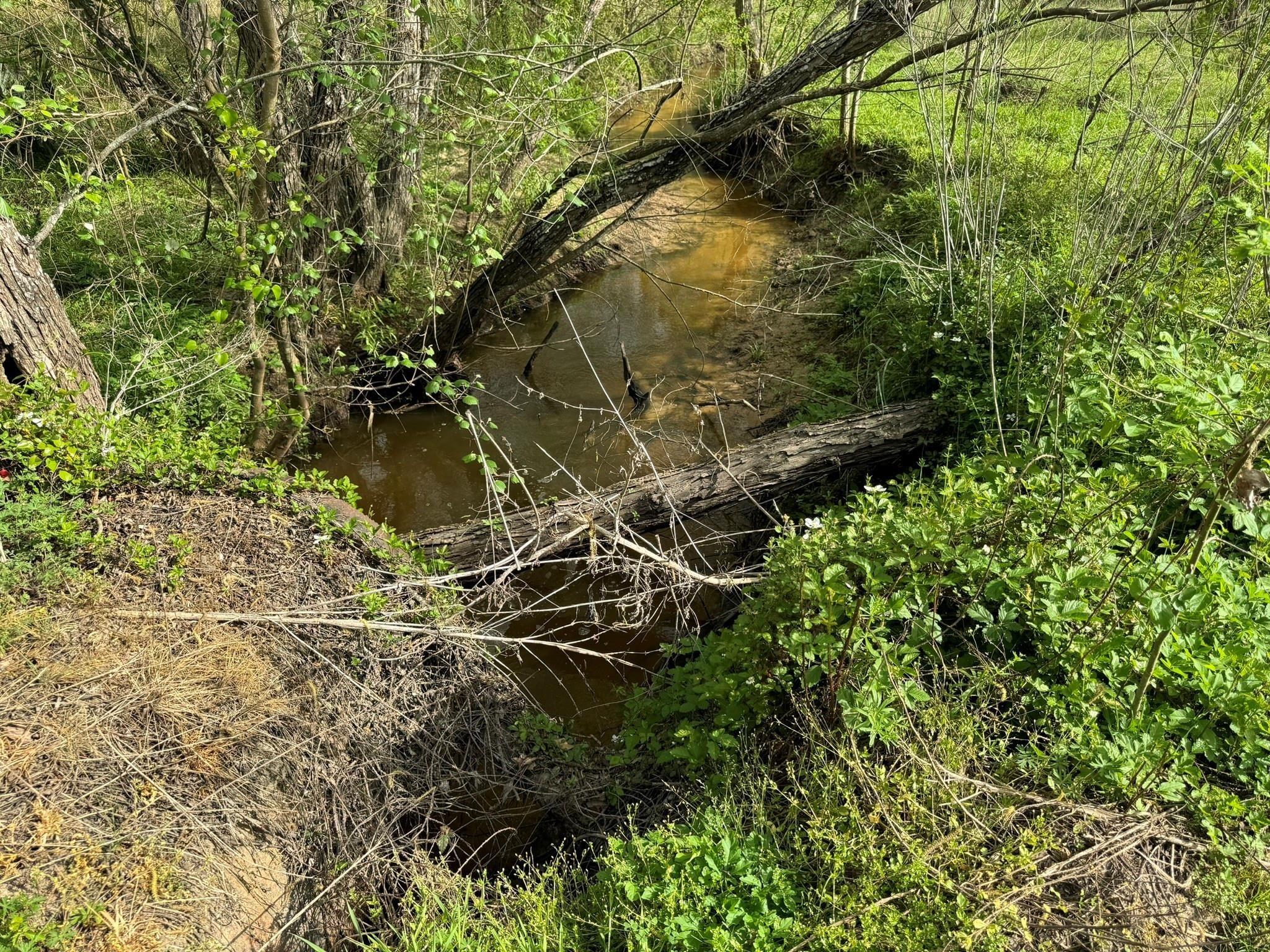 Tbd County Road 394 Property Photo 16
