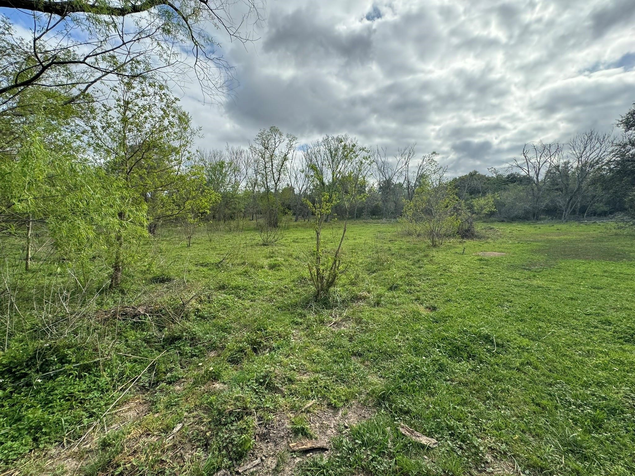 Tbd County Road 394 Property Photo 17