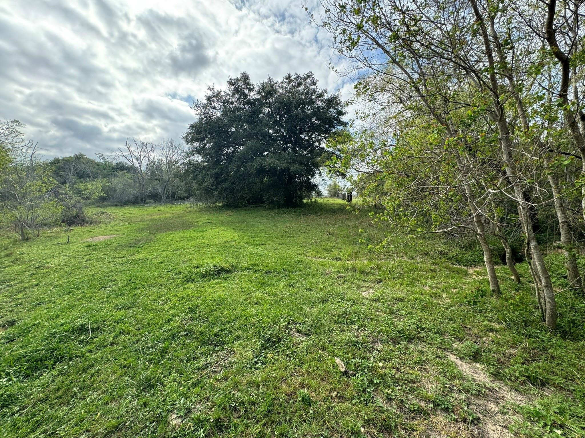 Tbd County Road 394 Property Photo 18